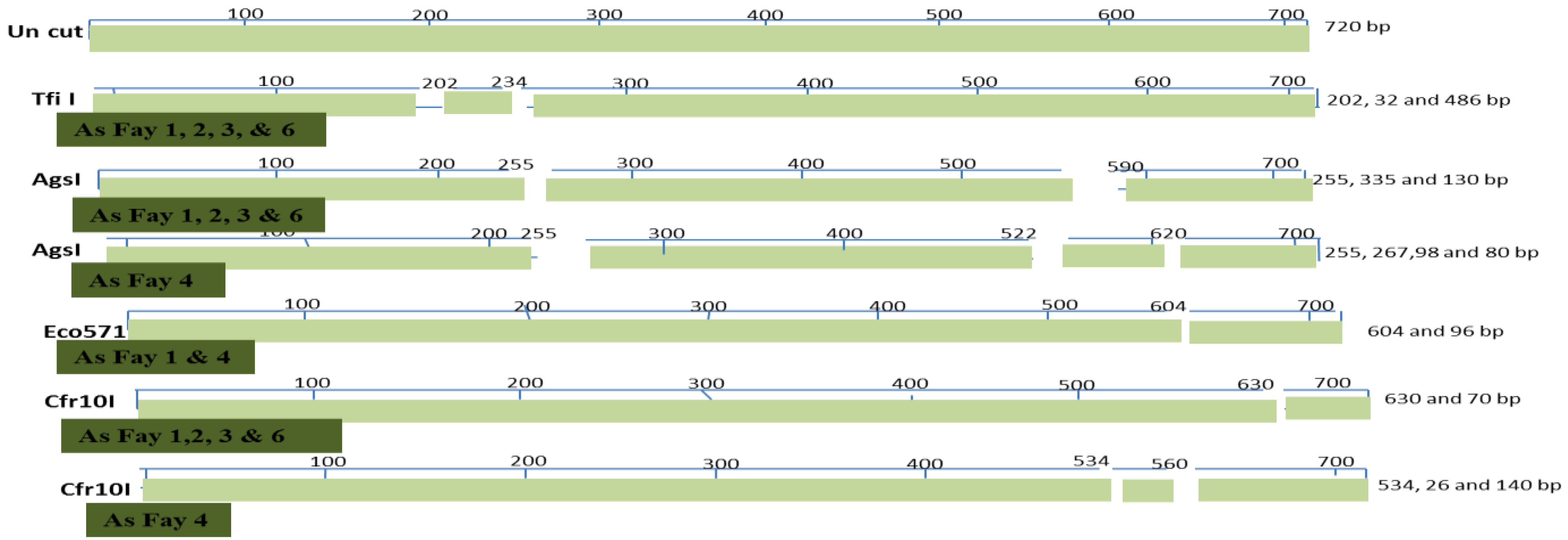 Plants 10 01431 g006