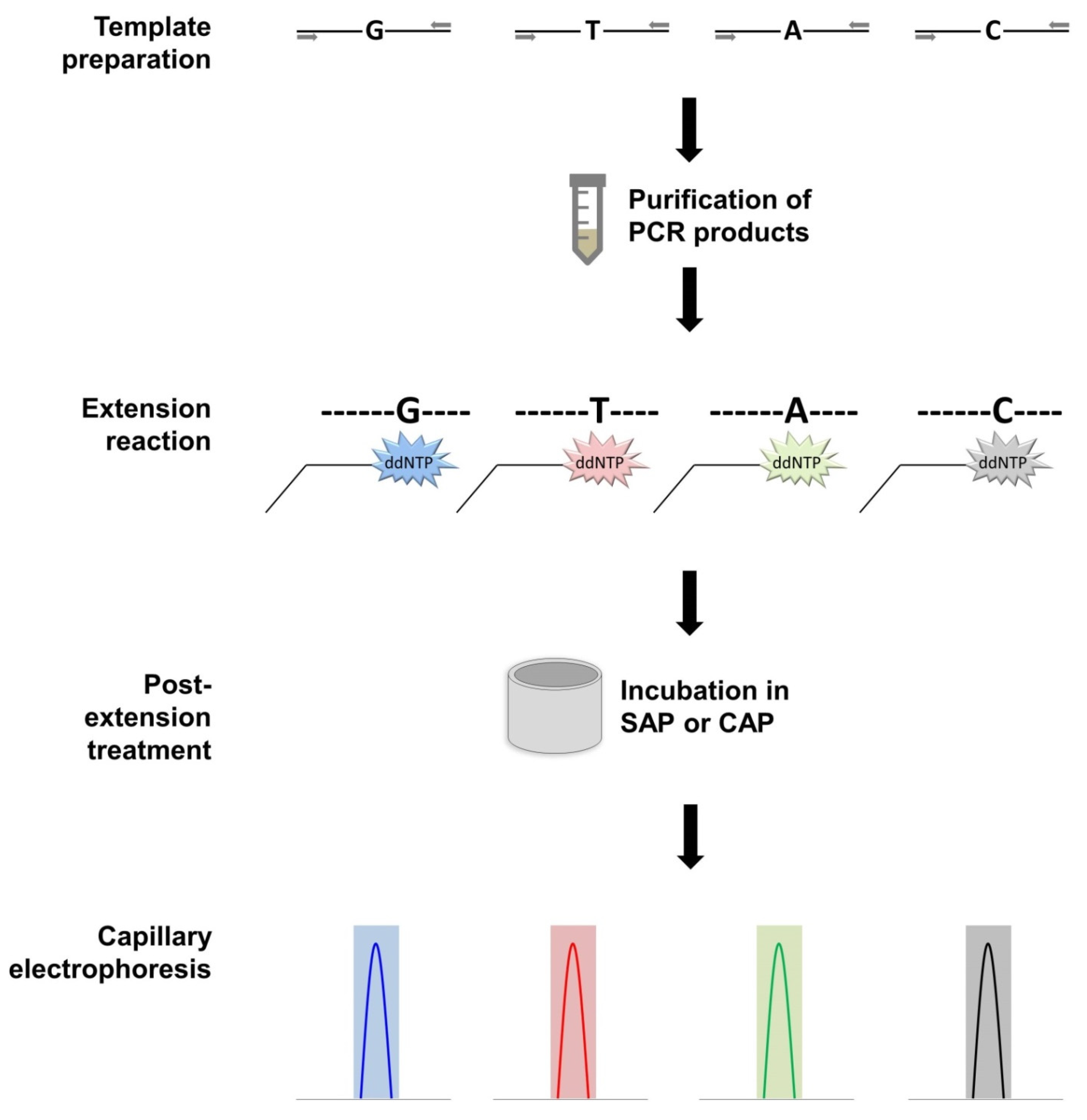 Plants 10 01446 g005 Plants 10 01446 g005