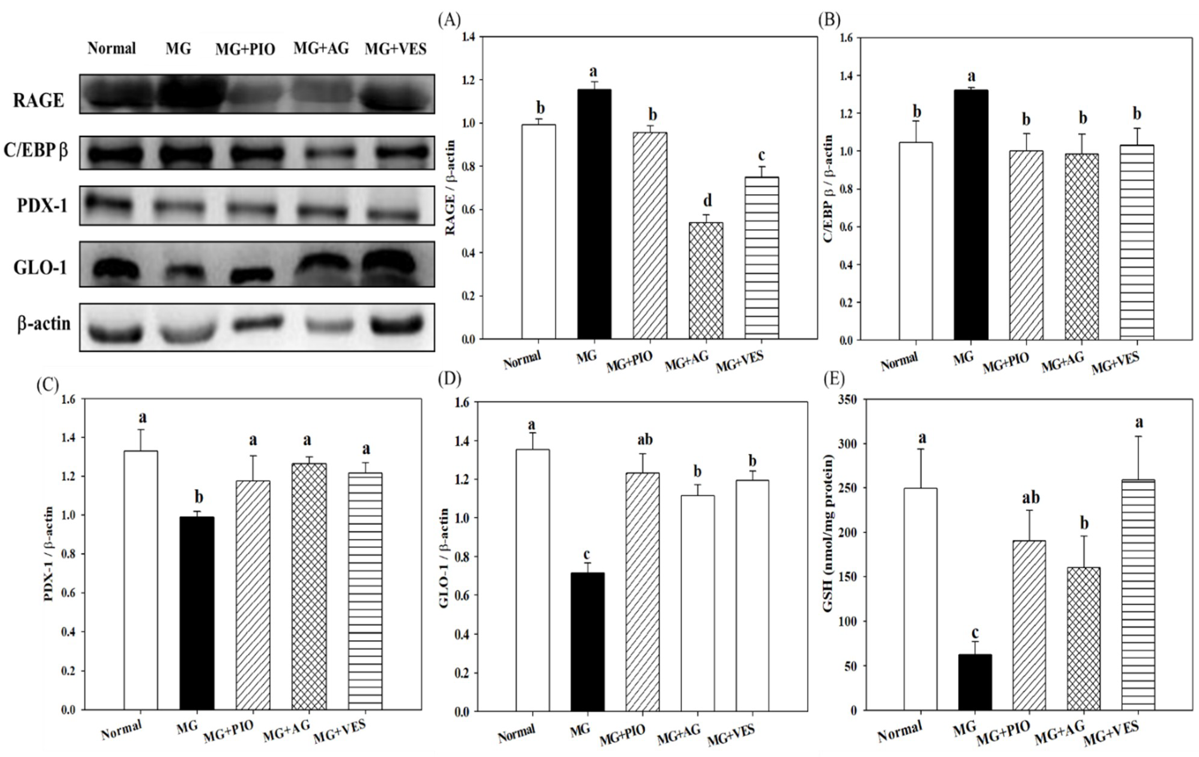 Plants 10 01448 g002