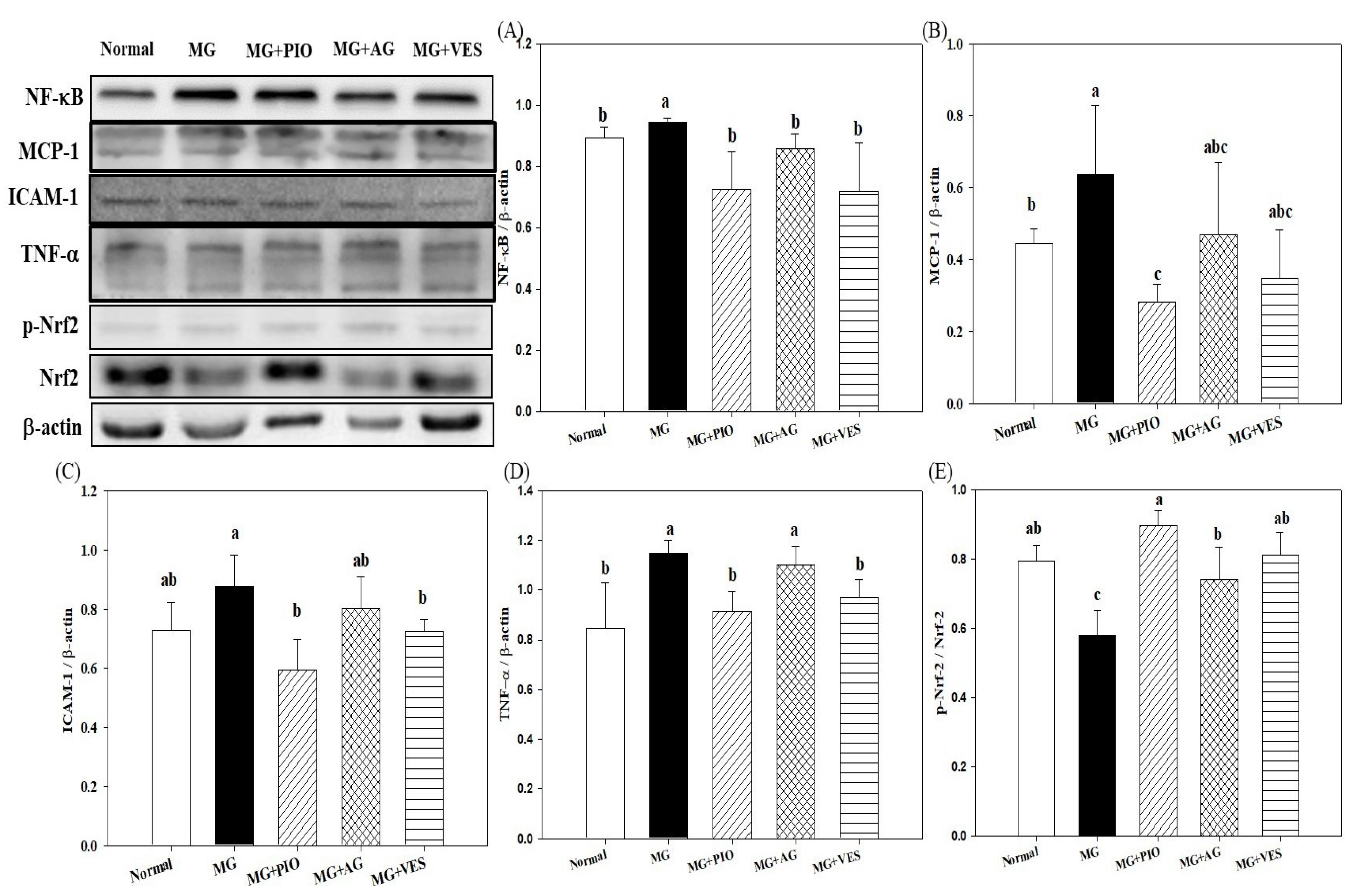 Plants 10 01448 g003