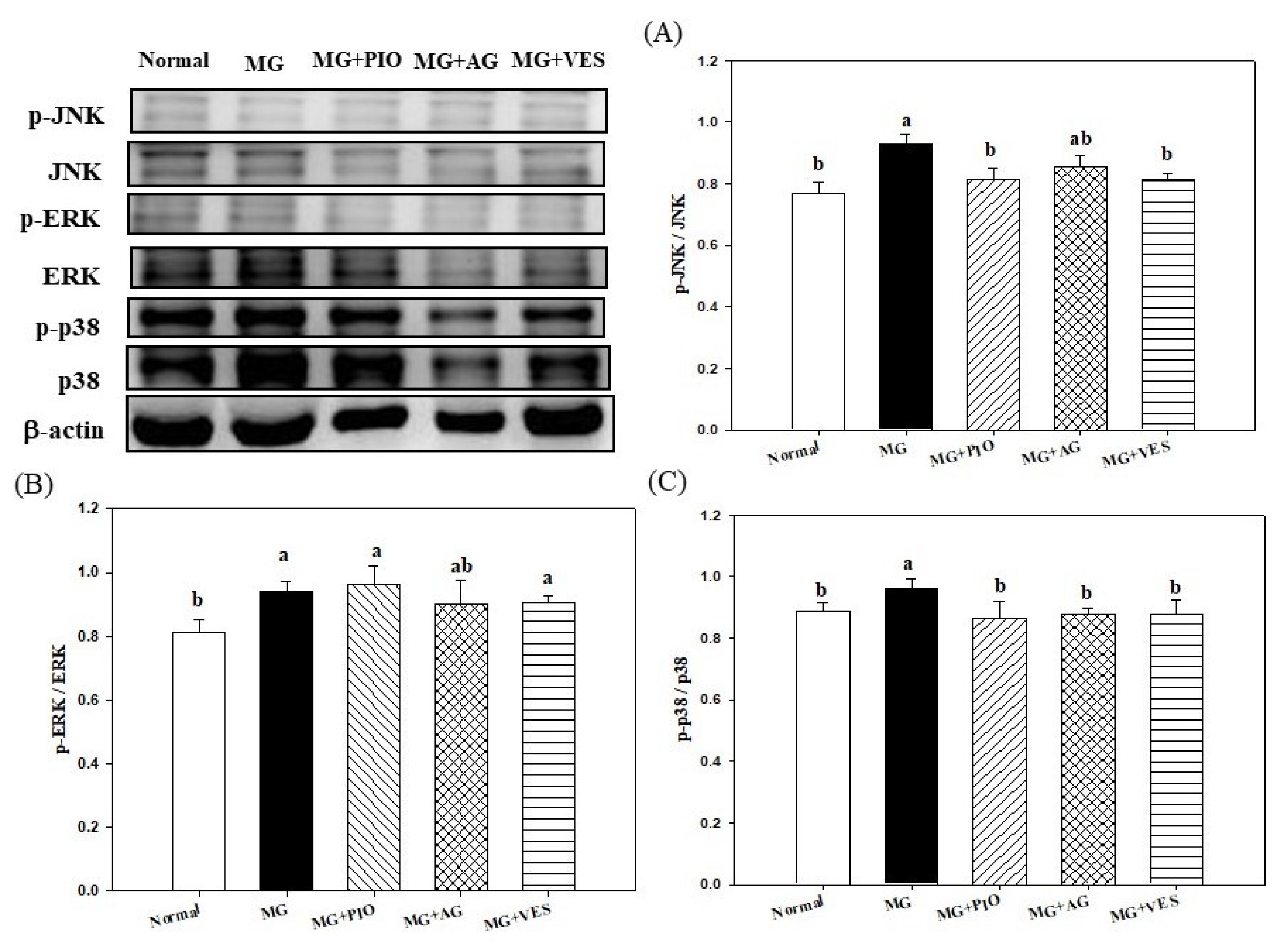 Plants 10 01448 g005