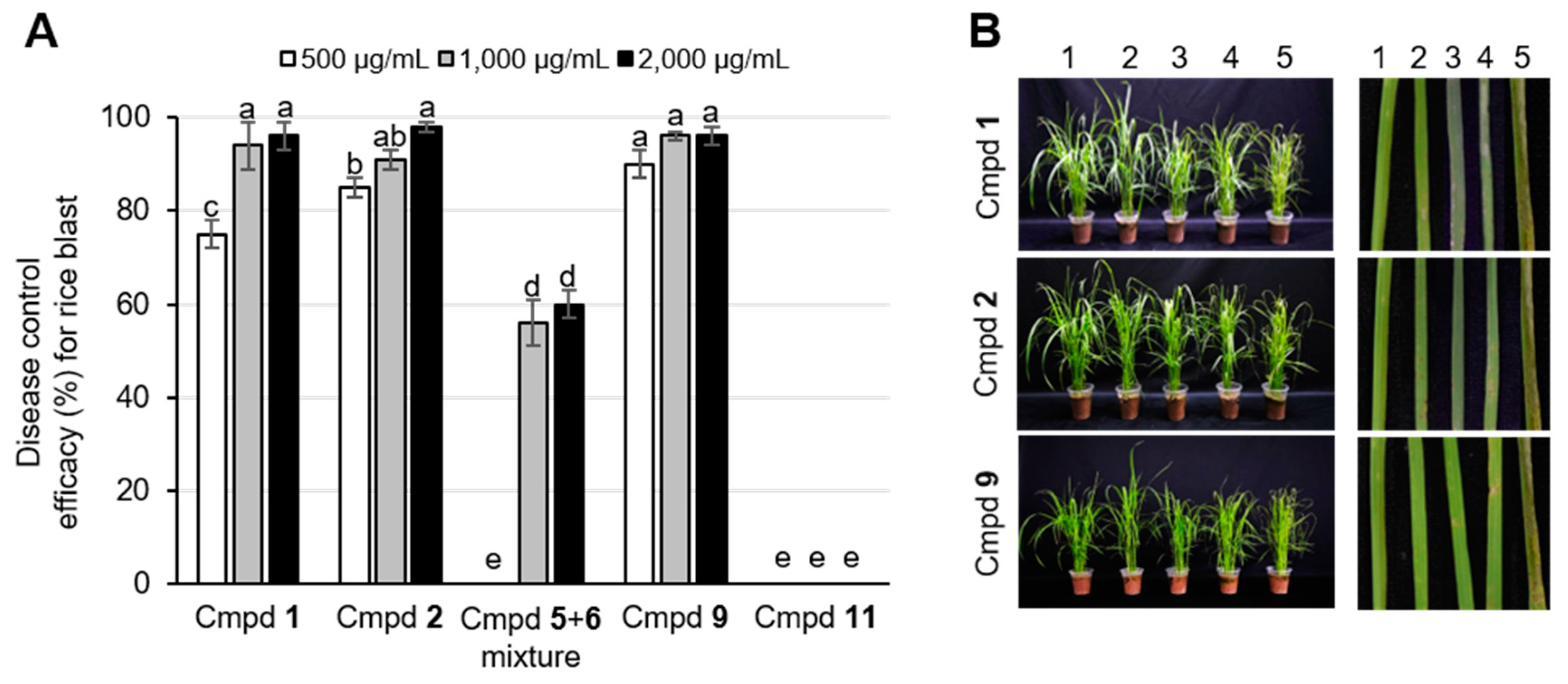 Plants 10 01496 g003 Plants 10 01496 g003