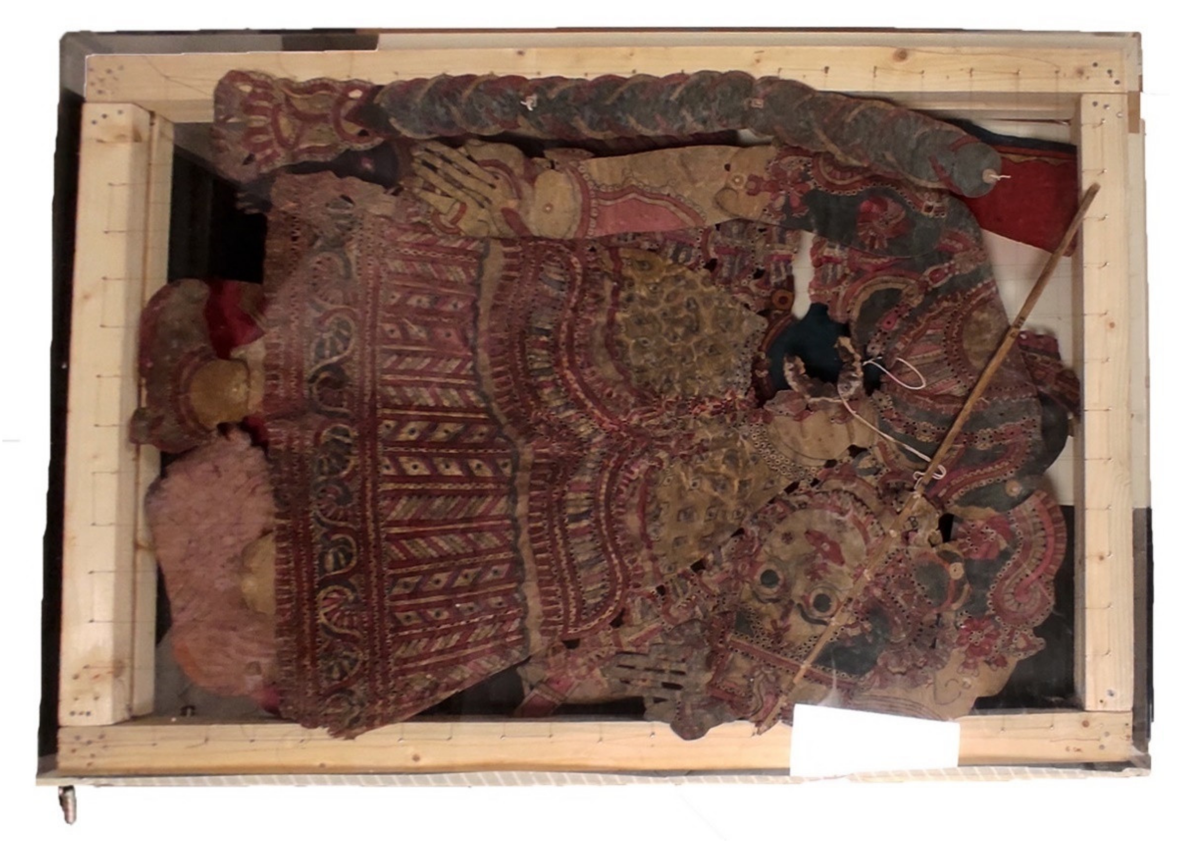 Plants 10 01508 g002