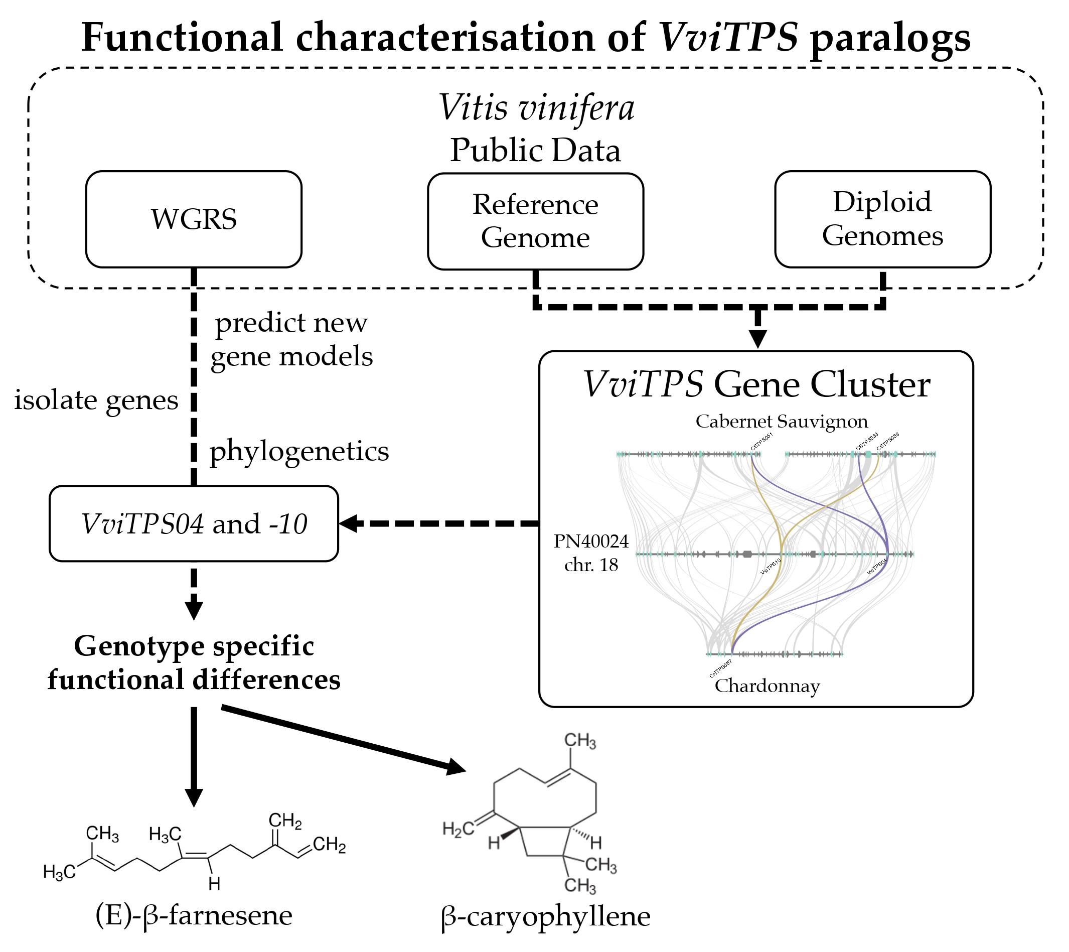 The functions of characters