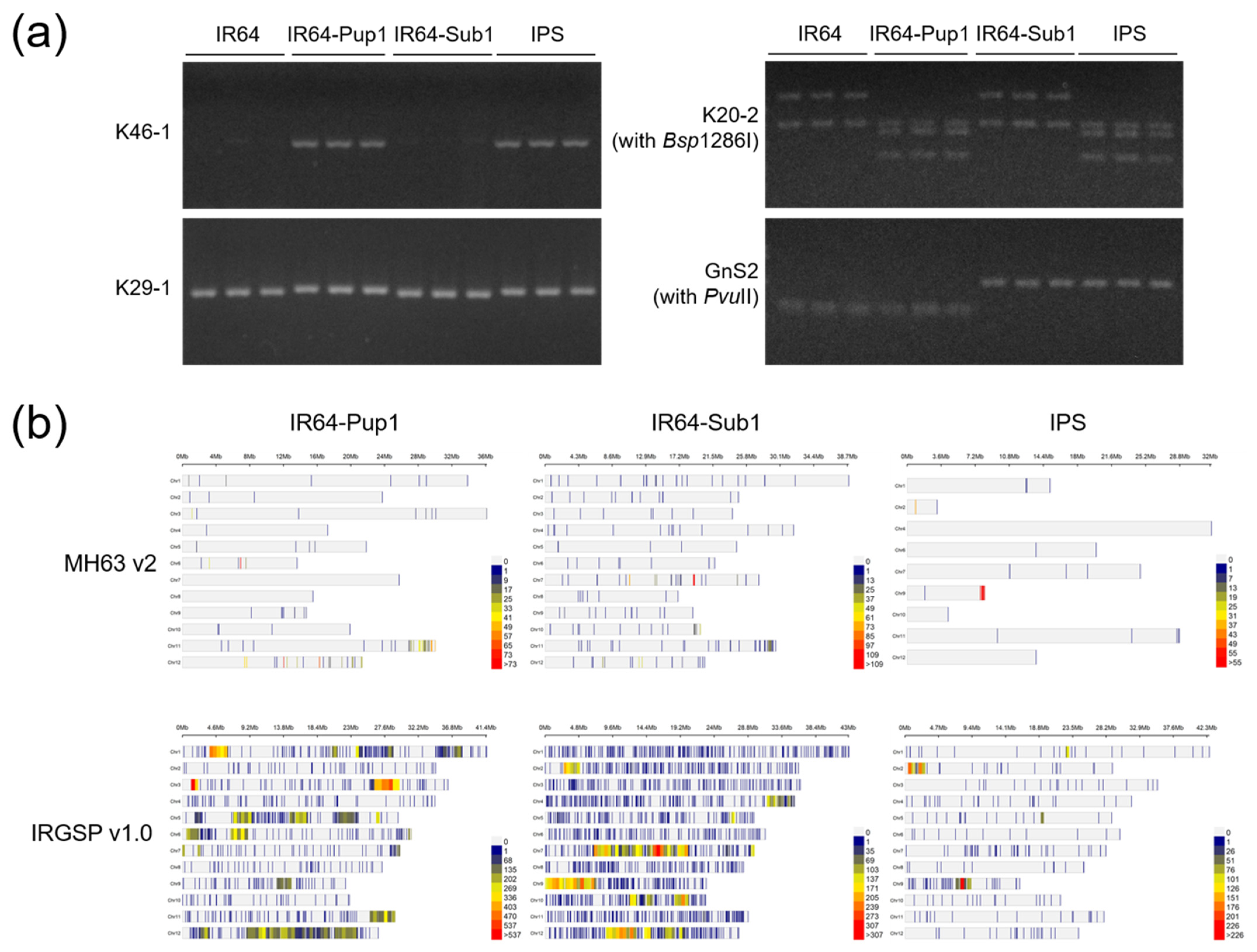 Plants 10 01523 g001