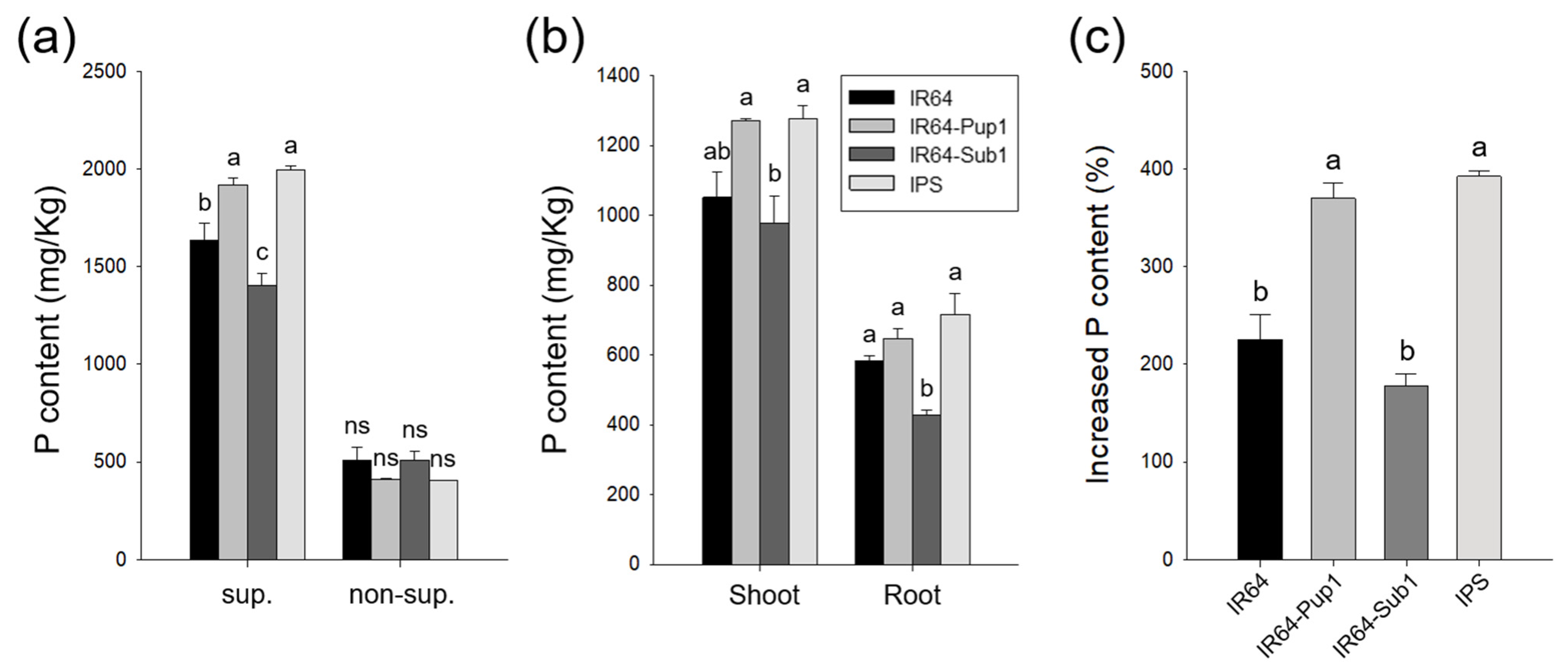 Plants 10 01523 g004