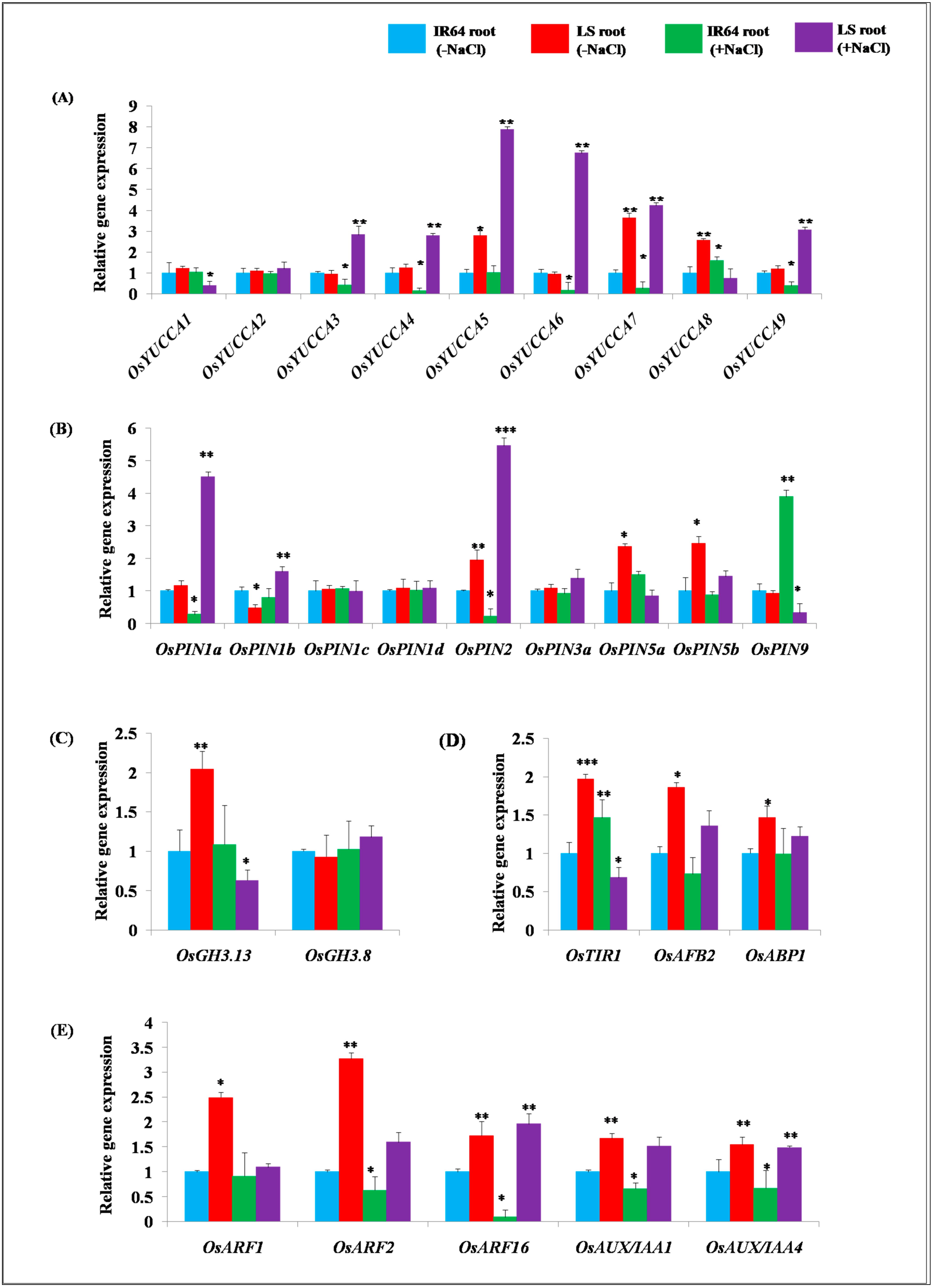 Plants 10 01544 g002