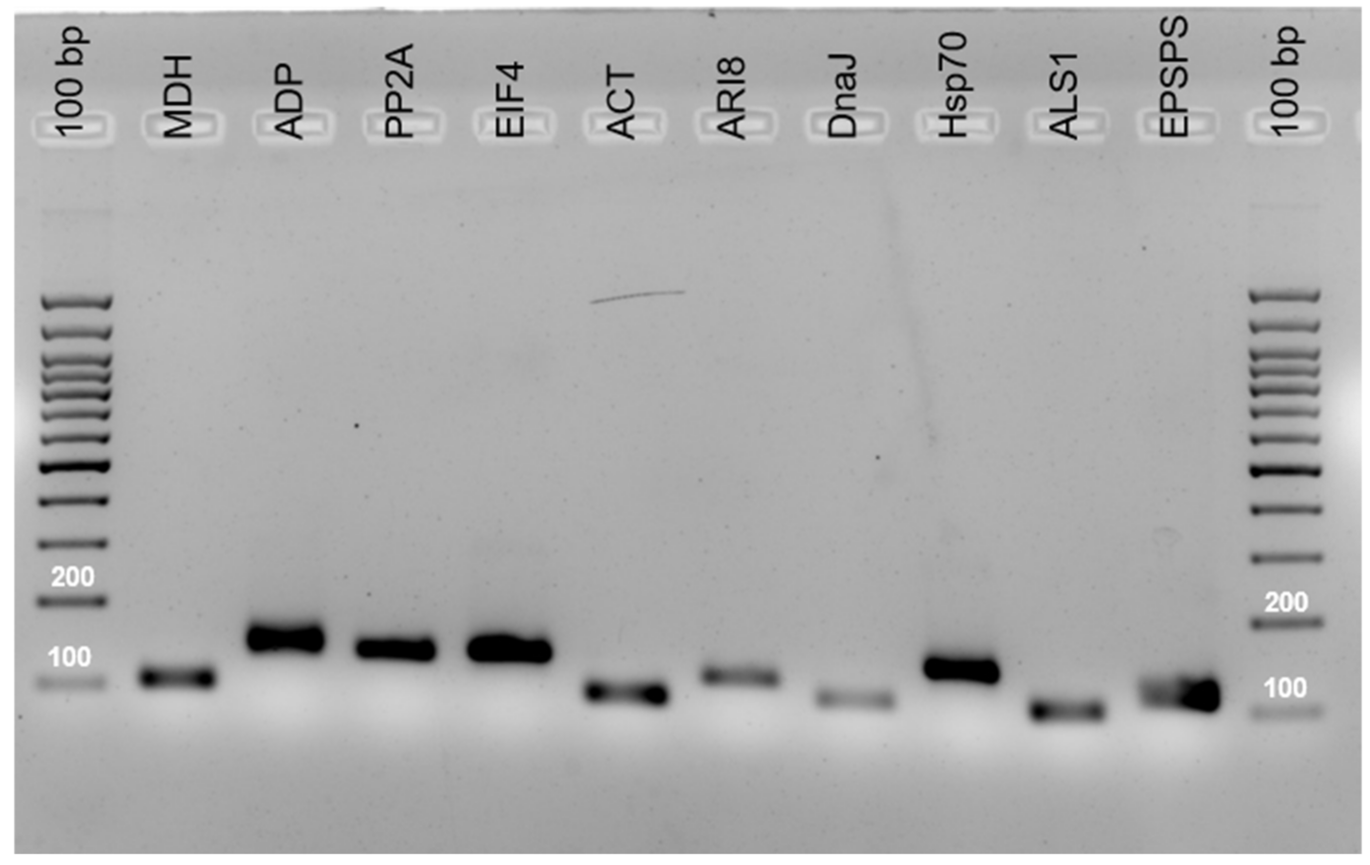 Plants 10 01555 g001