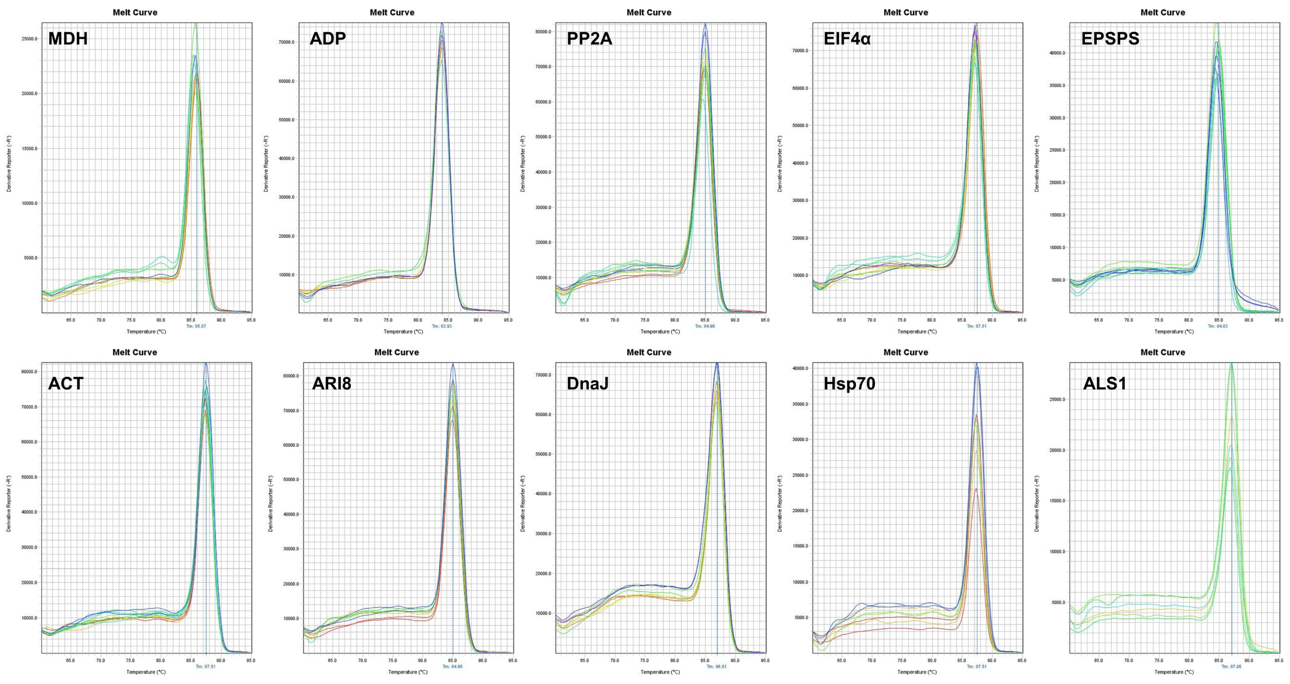 Plants 10 01555 g002