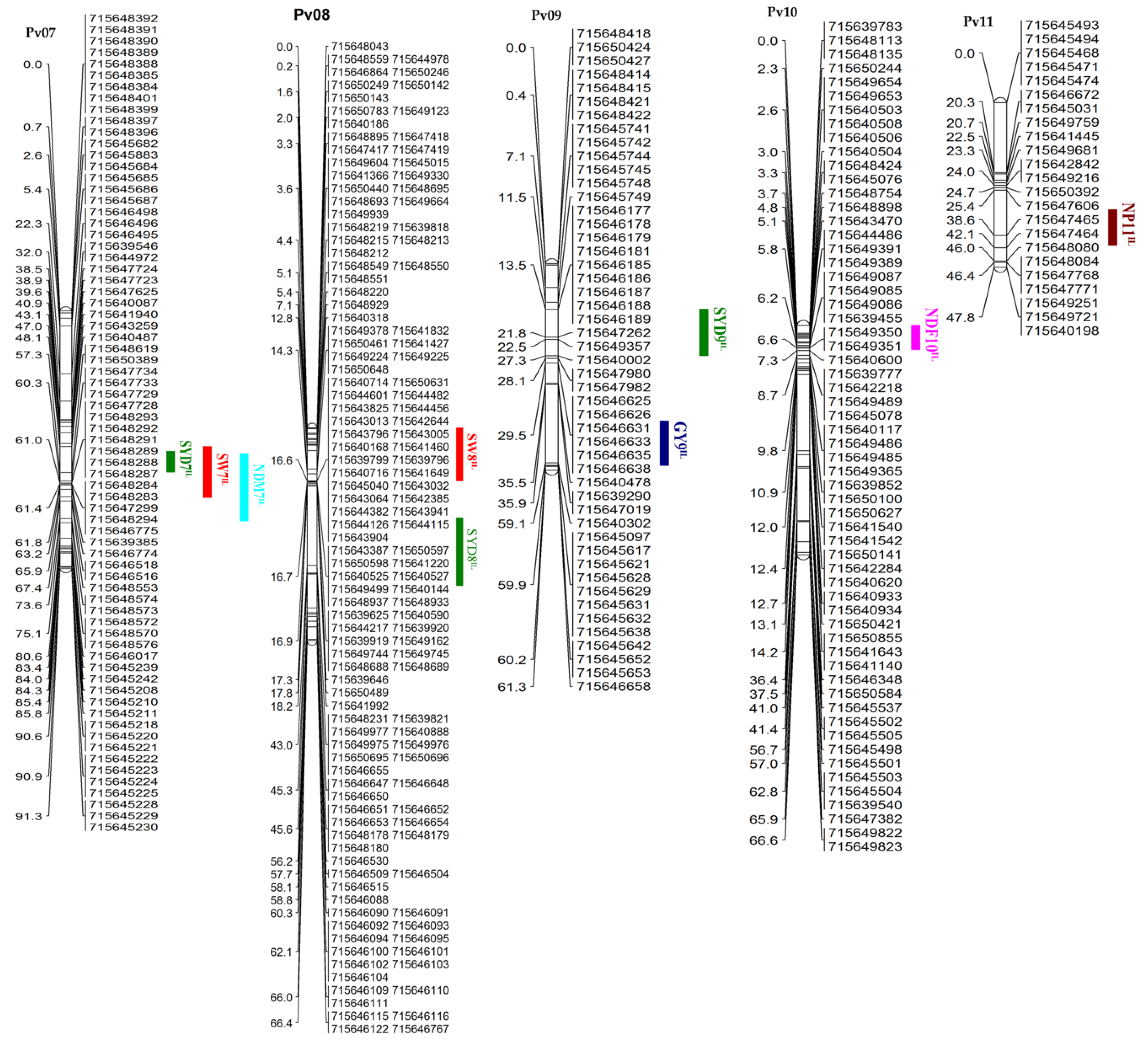 Plants 10 01568 g003b