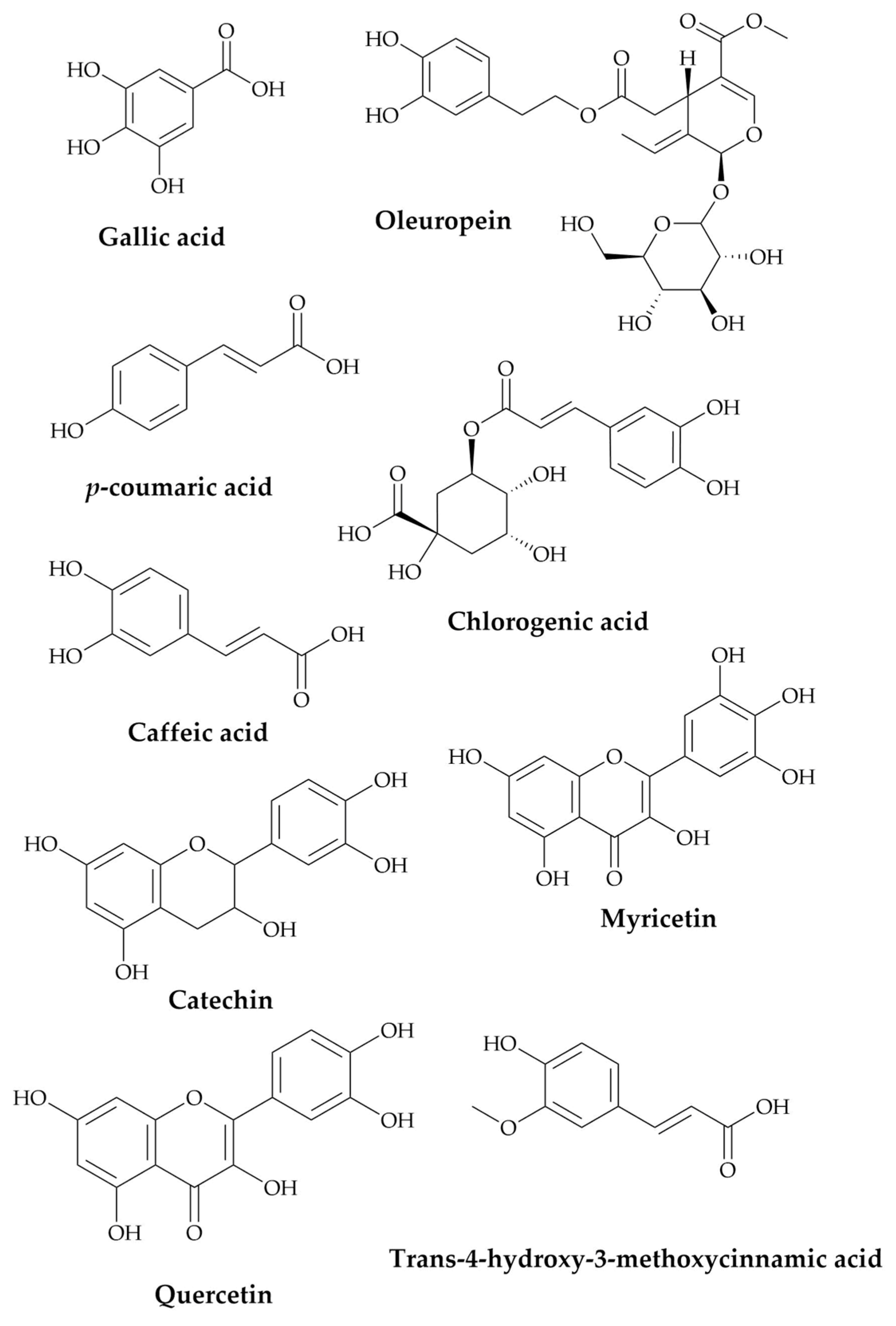 Plants 10 01573 g001 Plants 10 01573 g001