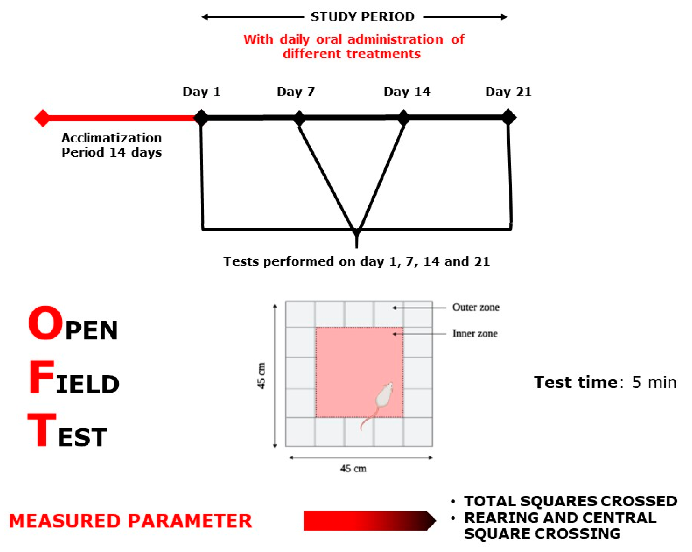 Plants 10 01573 g011 Plants 10 01573 g011