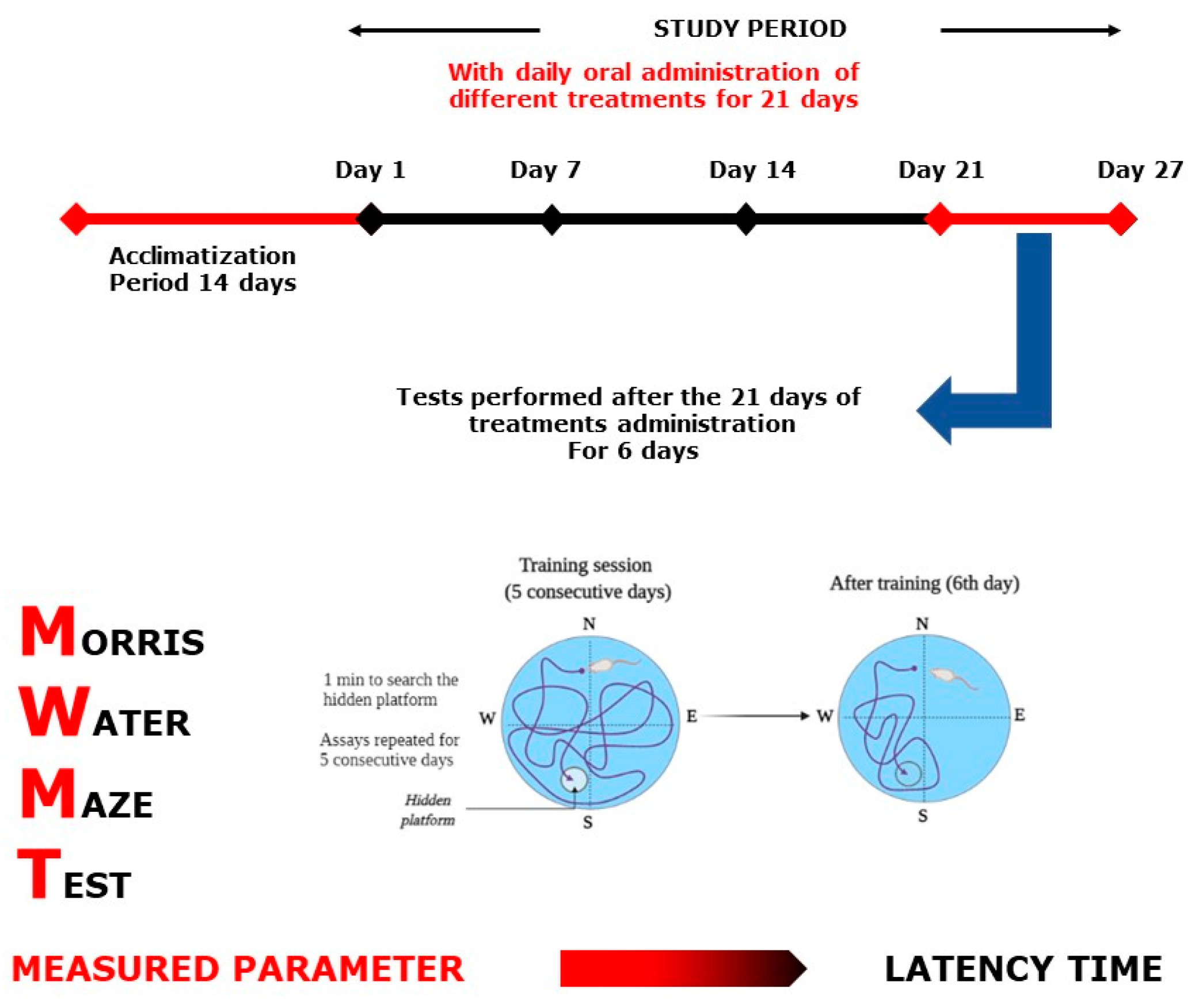Plants 10 01573 g013 Plants 10 01573 g013