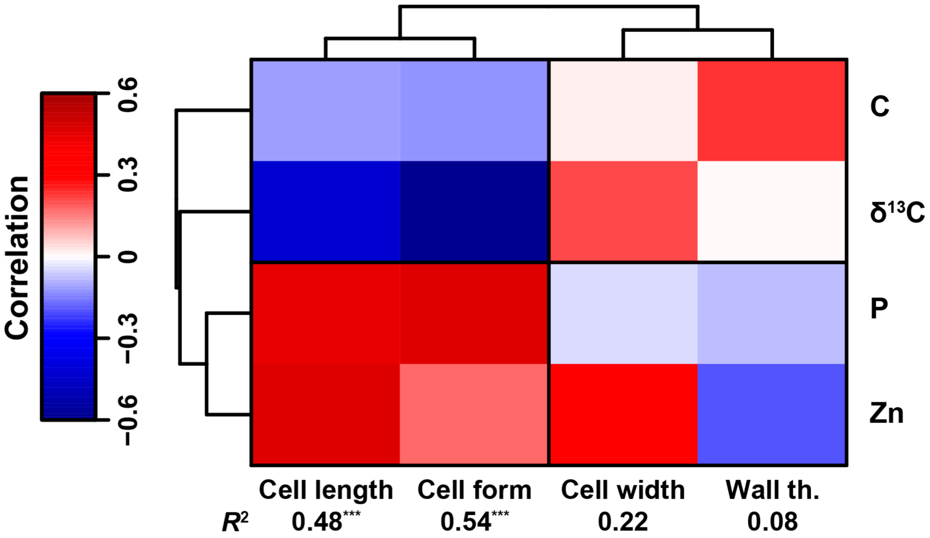 Plants 10 01581 g002