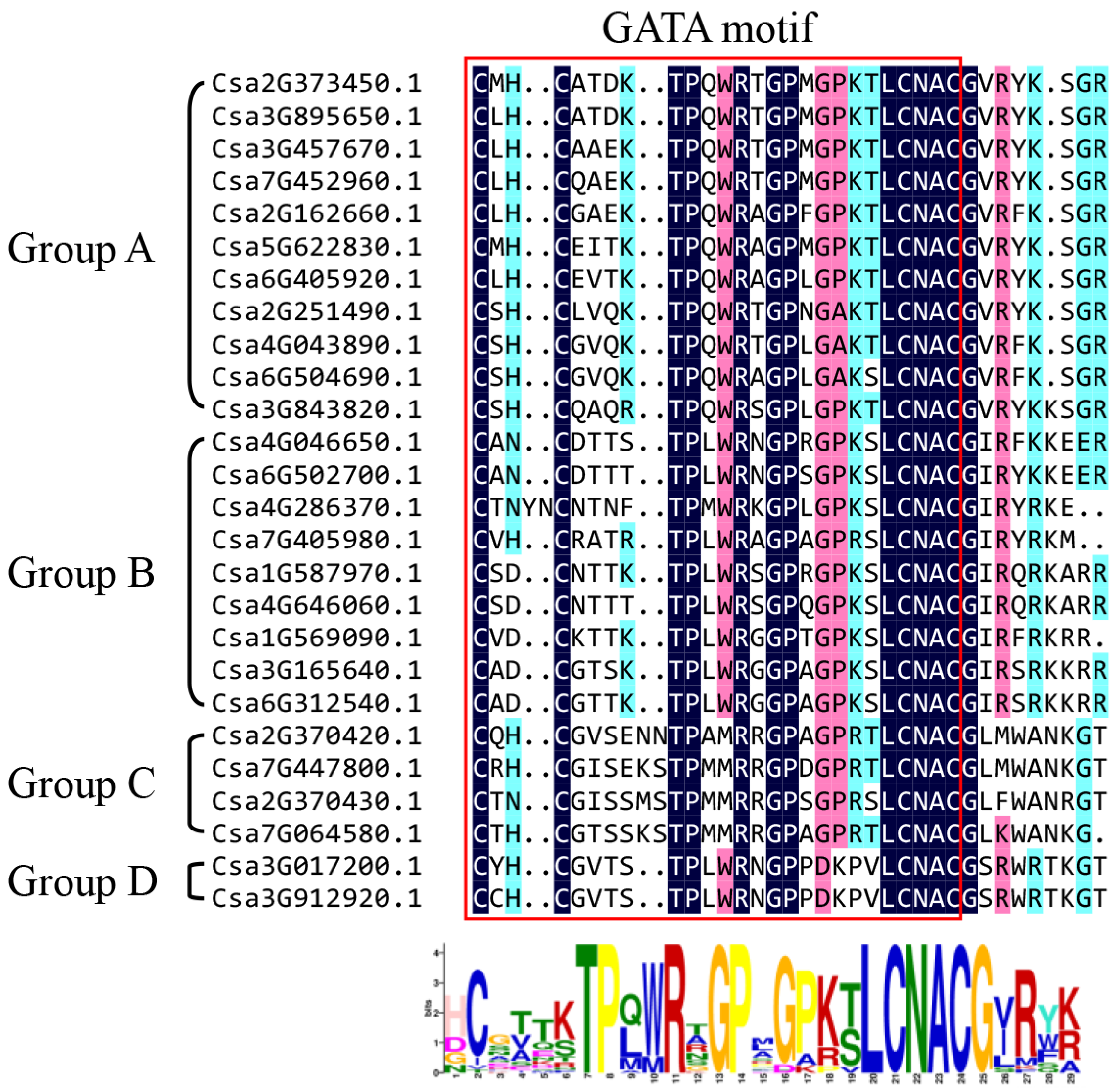 Plants | Free Full-Text | Genome-Wide Identification, Phylogenetic and  Expression Pattern Analysis of GATA Family Genes in Cucumber (Cucumis  sativus L.) | HTML