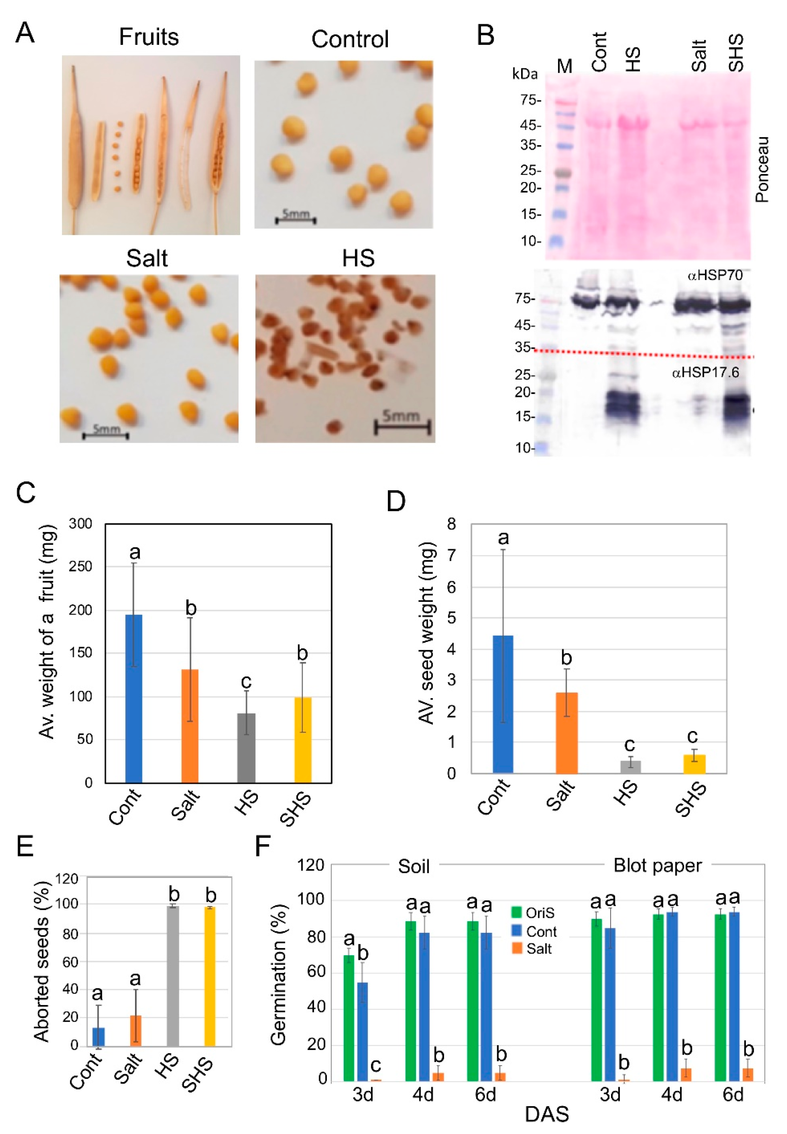 Plants 10 01627 g001