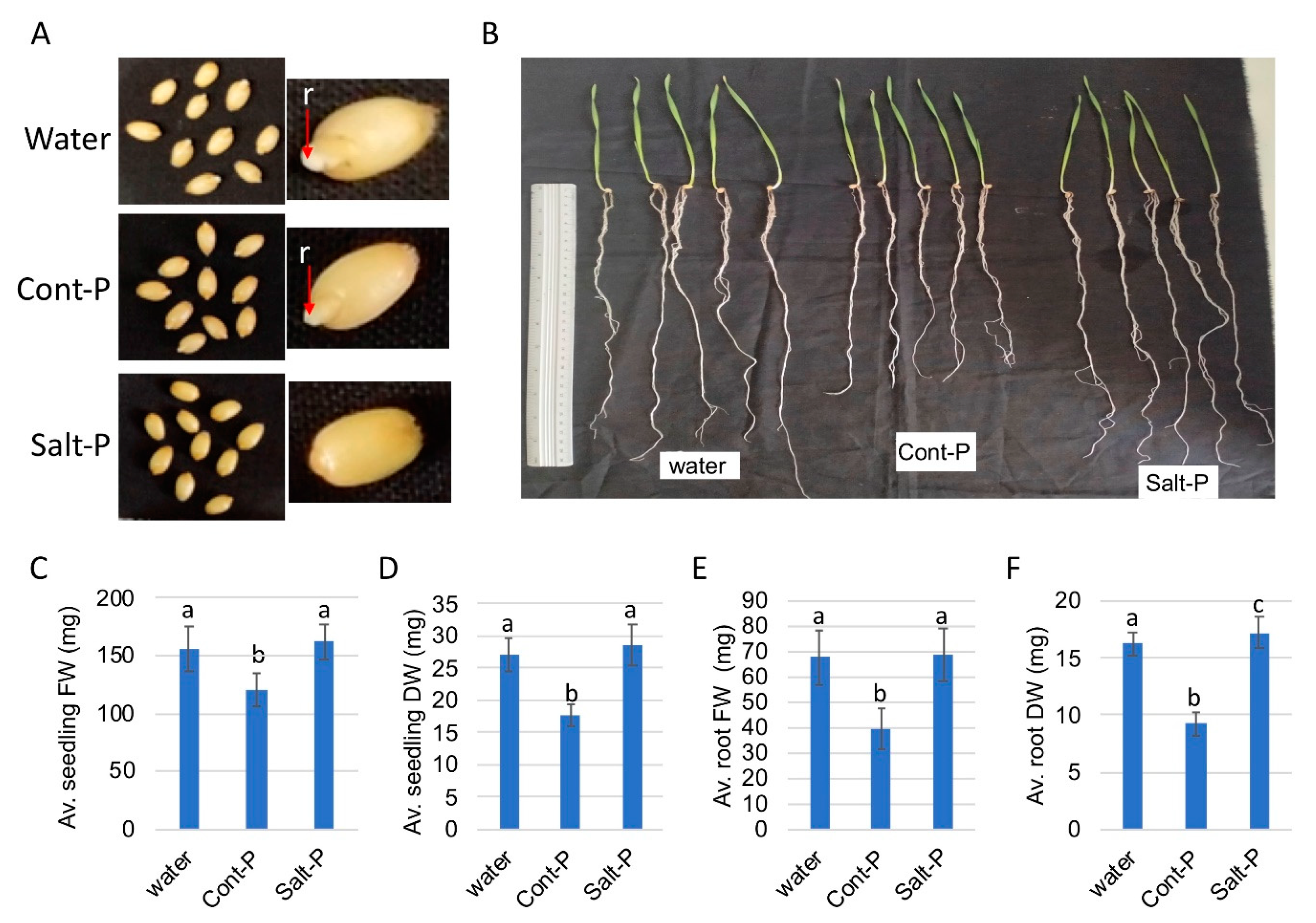 Plants 10 01627 g007