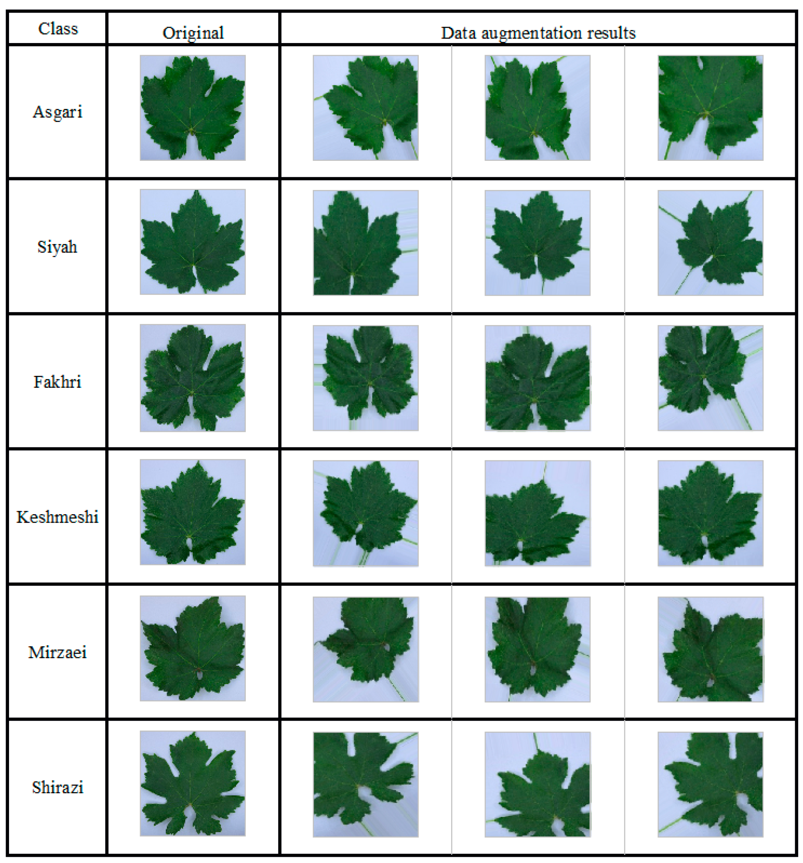 Plants 10 01628 g003