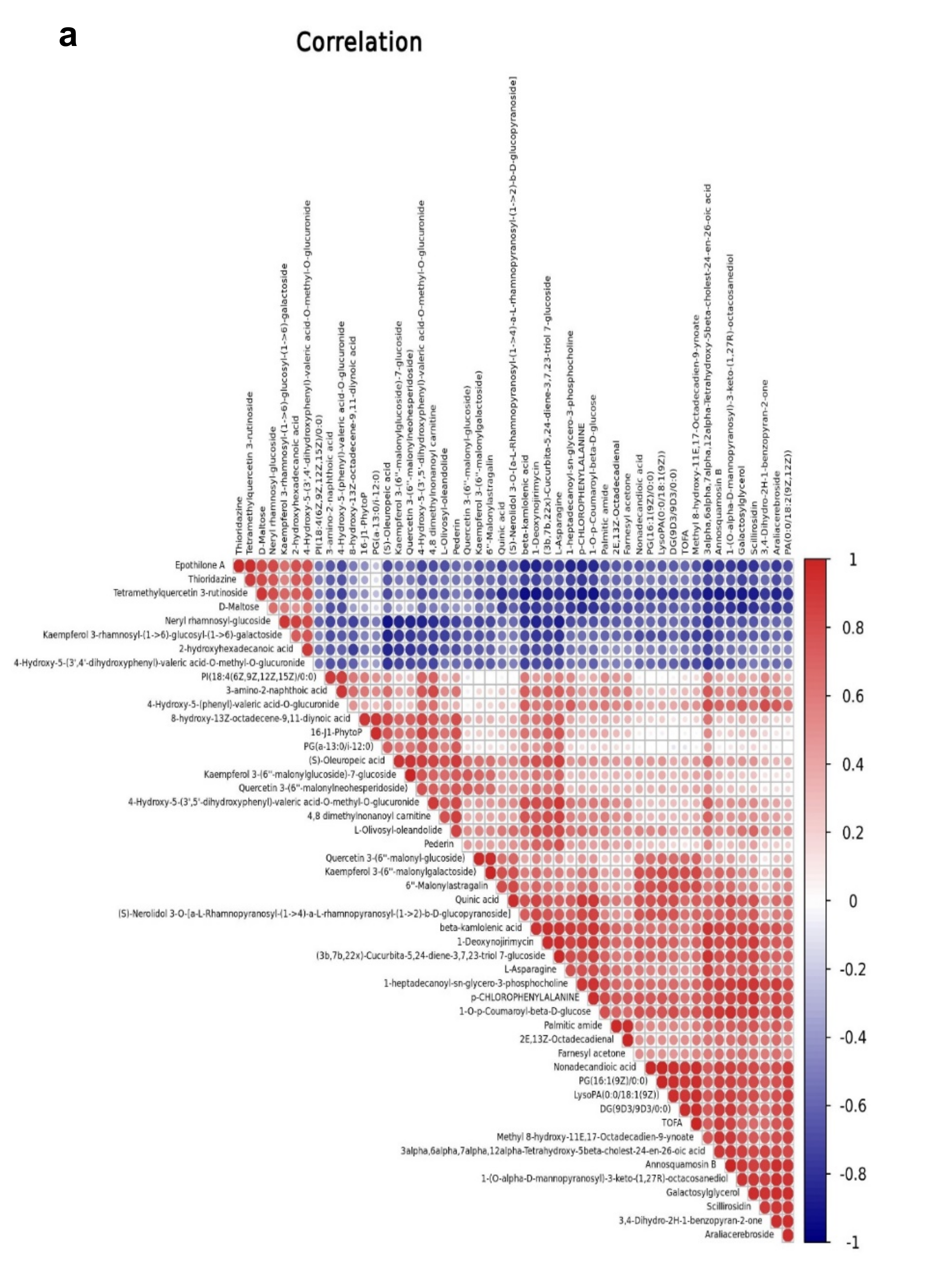 Plants 10 01636 g008a Plants 10 01636 g008a