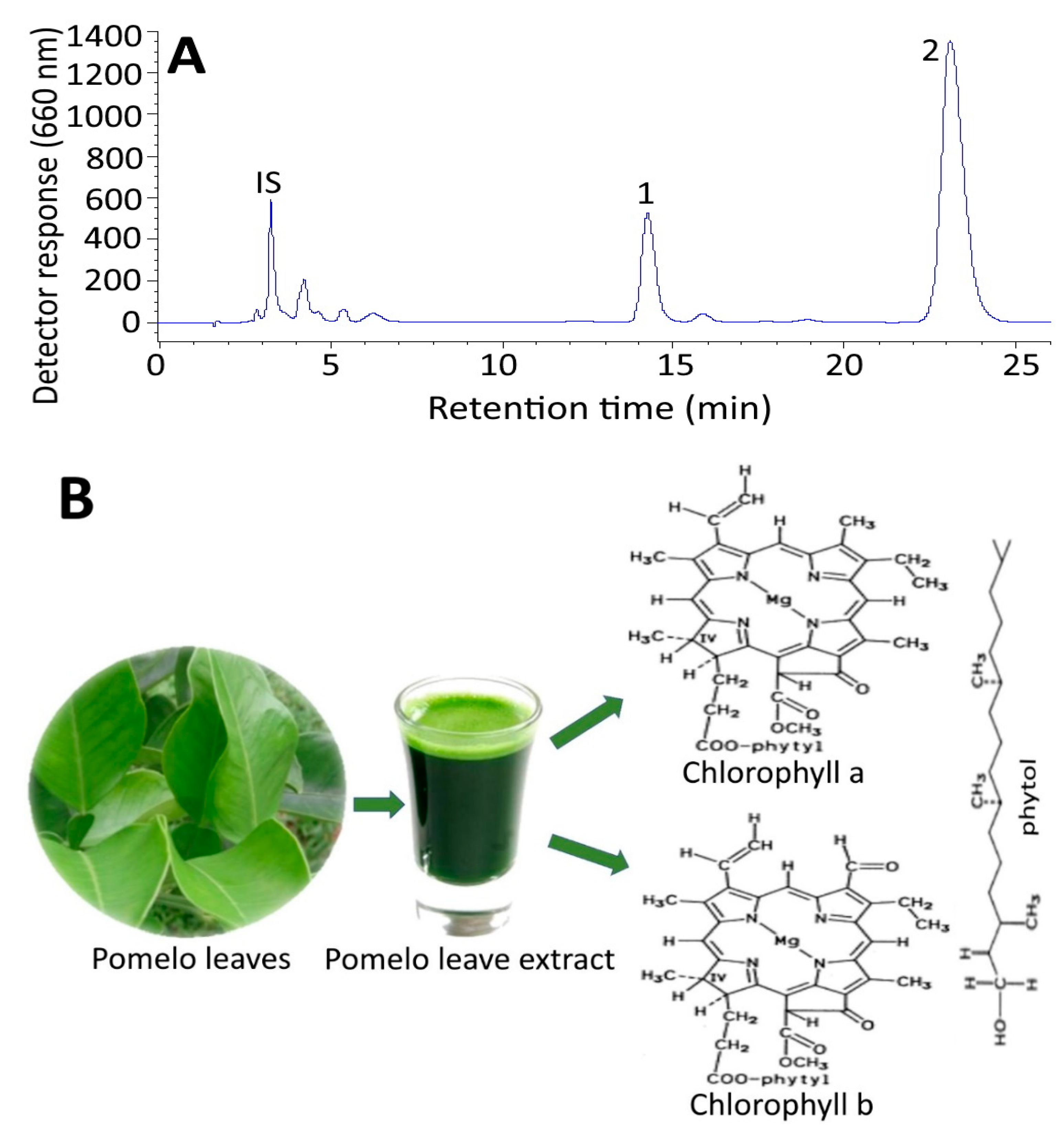 Plants | Free Full-Text | Preparation of Chlorophyll Nanoemulsion from  Pomelo Leaves and Its Inhibition Effect on Melanoma Cells A375 | HTML