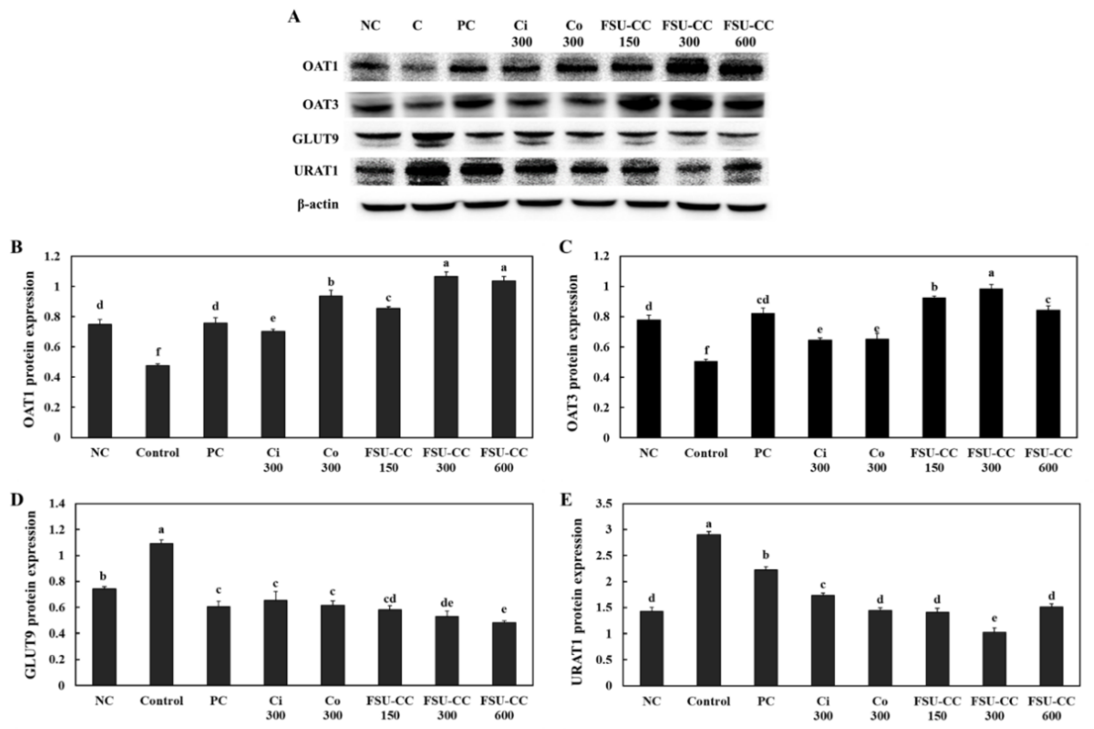 Plants 10 01668 g006