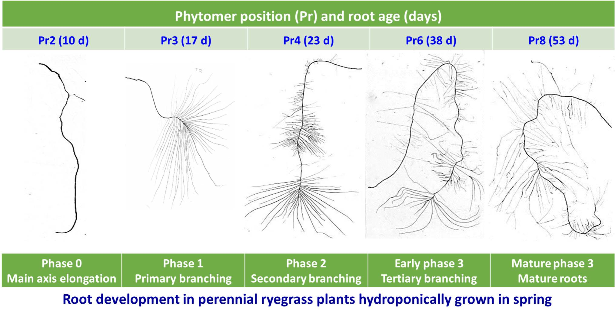 misalignment-of-subscripts-in-root-axis-title-root-root-forum