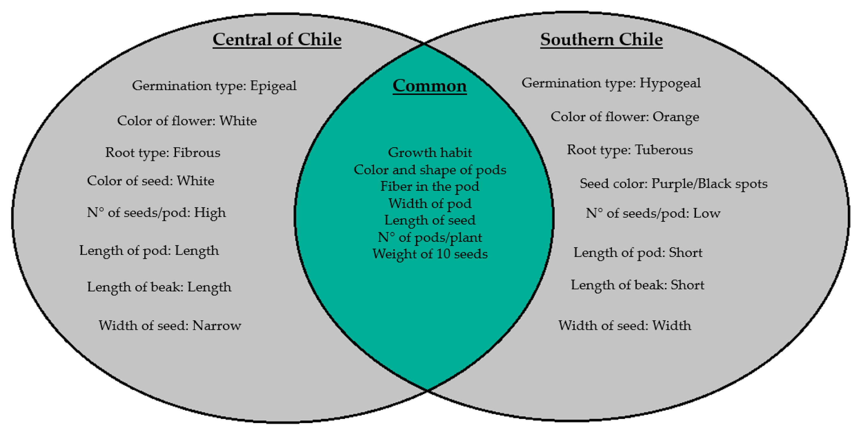 Plants 10 01688 g004 Plants 10 01688 g004