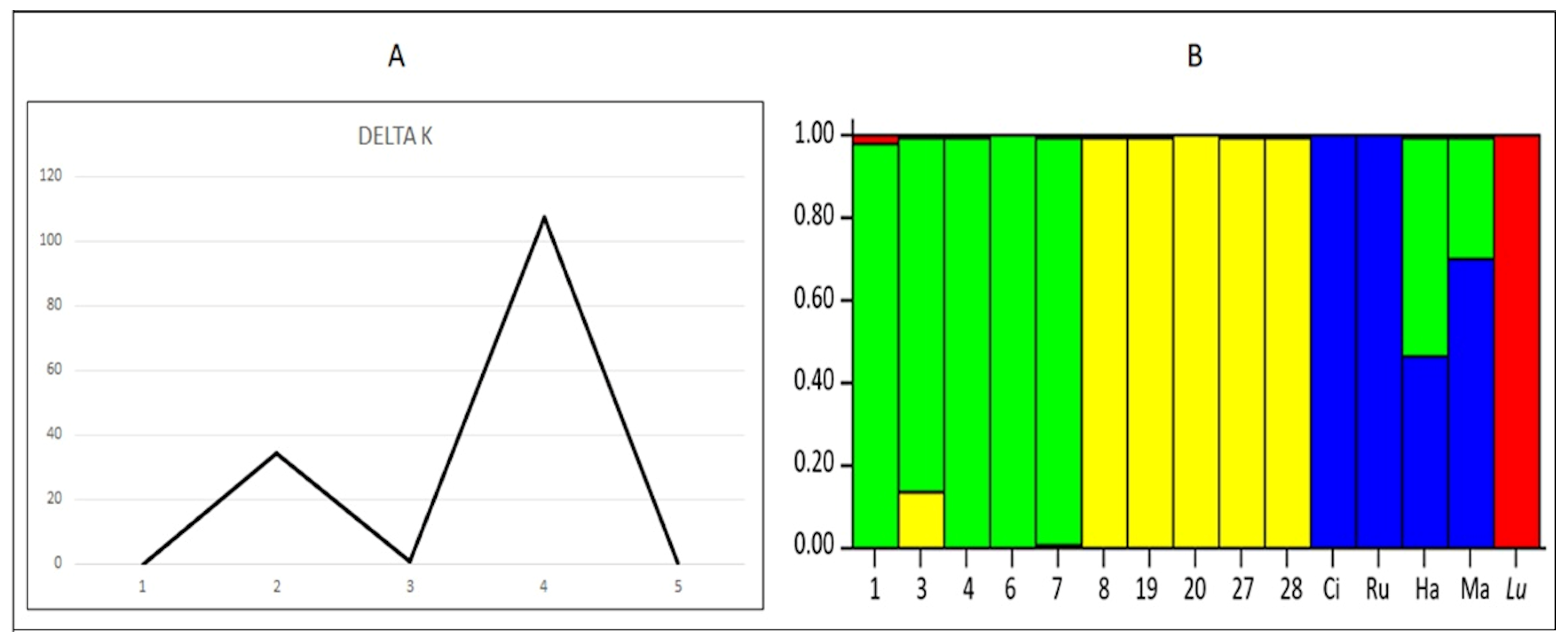 Plants 10 01688 g006 Plants 10 01688 g006