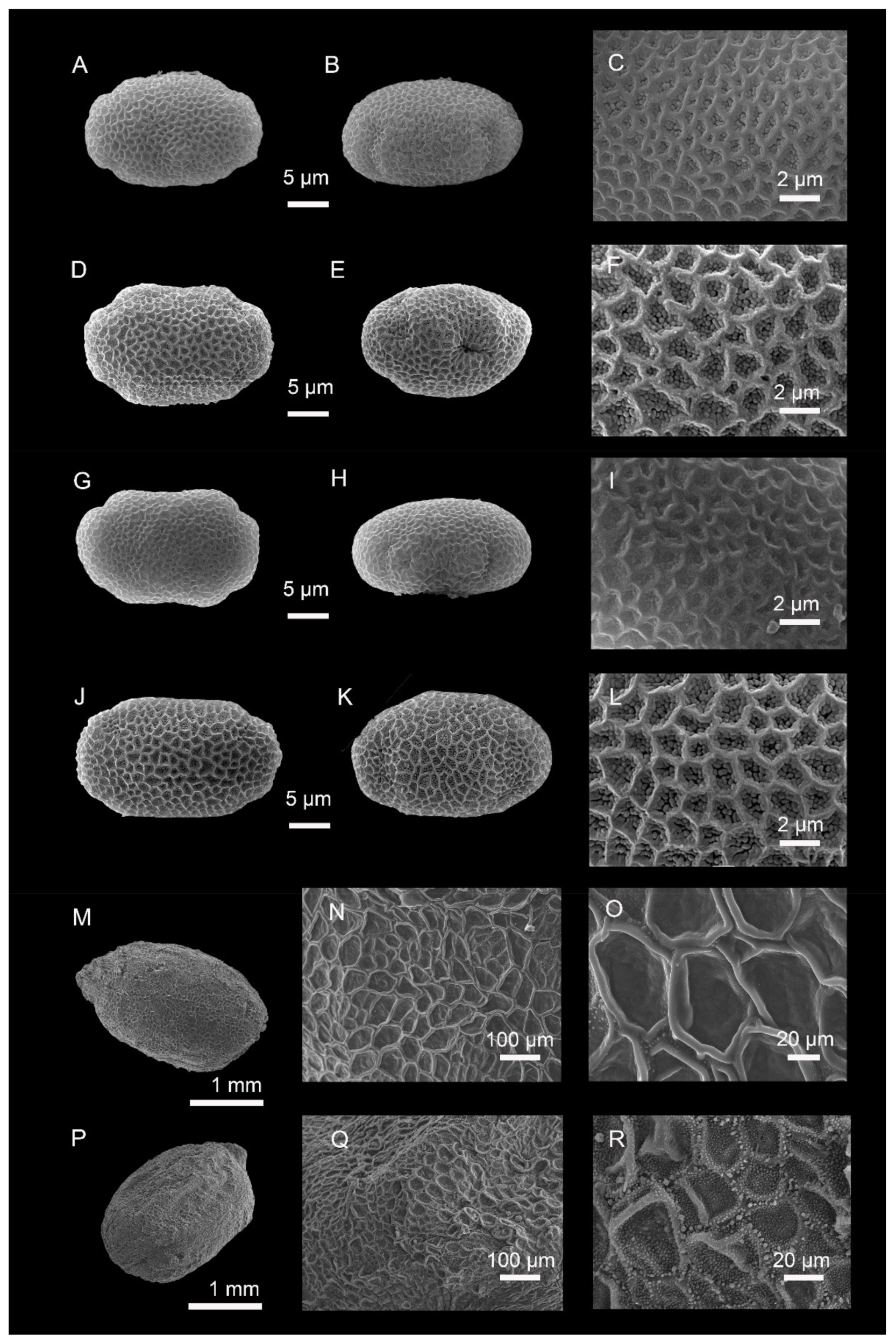 Plants 10 01697 g003