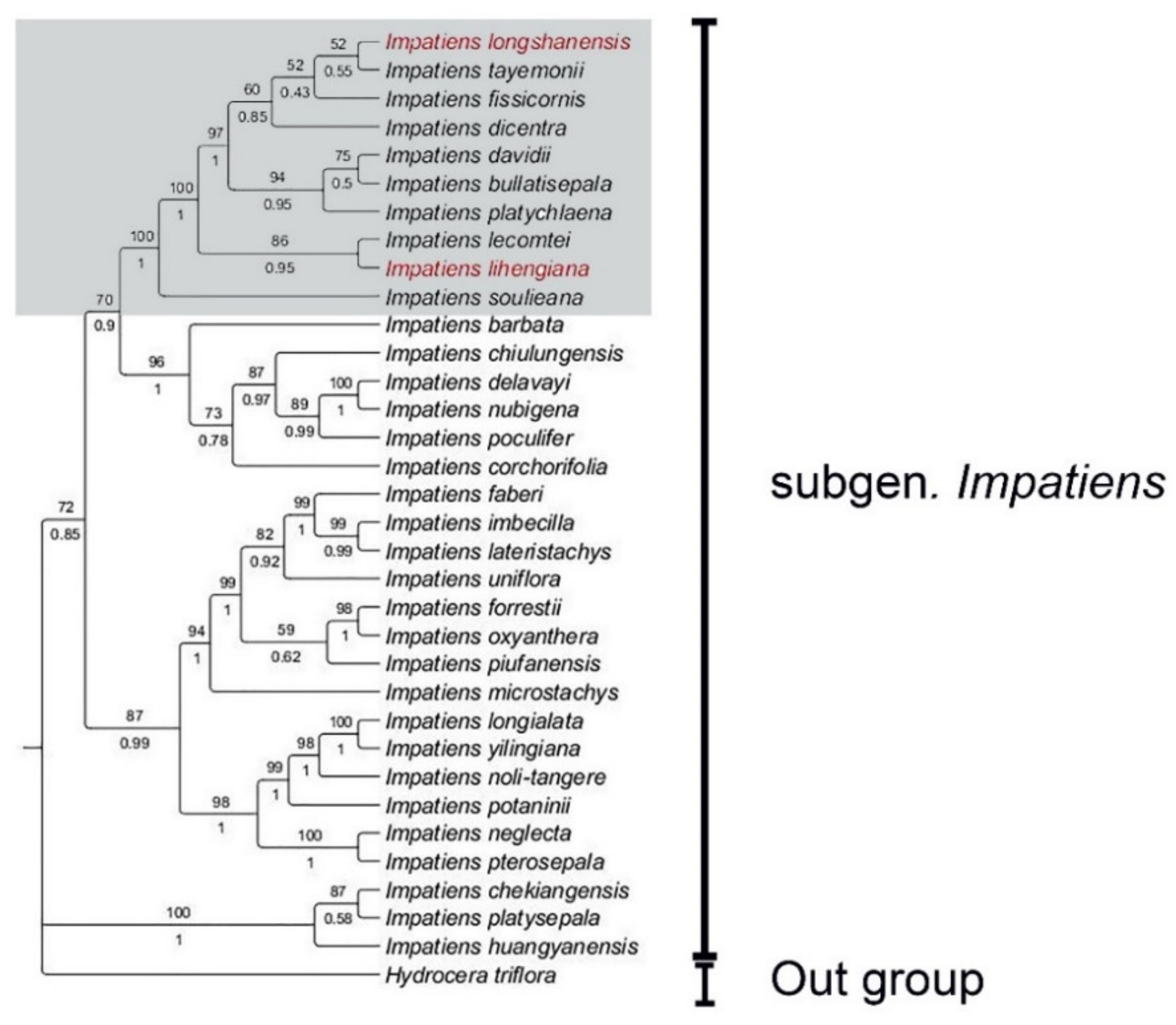 Plants 10 01697 g007