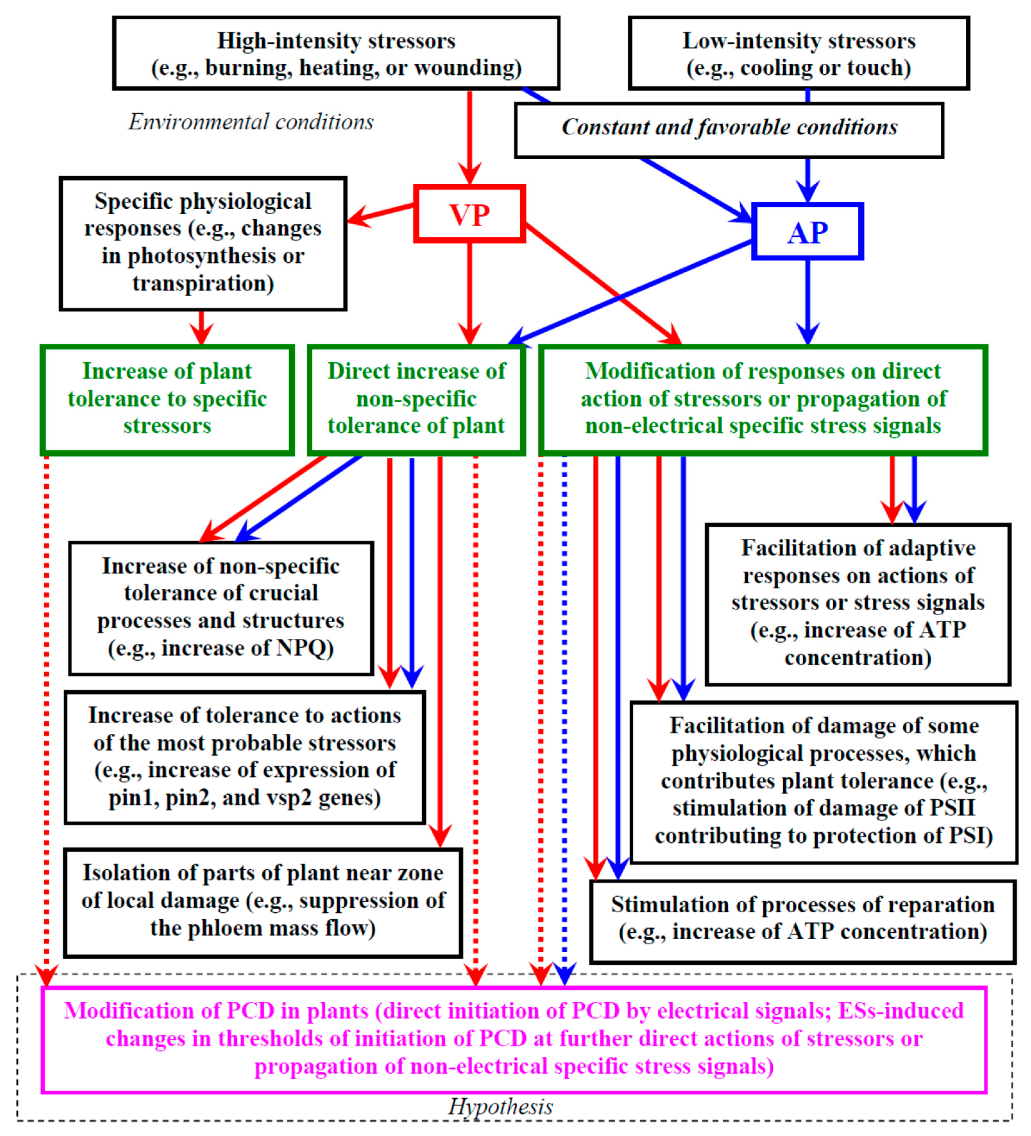 Plants 10 01704 g001 Plants 10 01704 g001