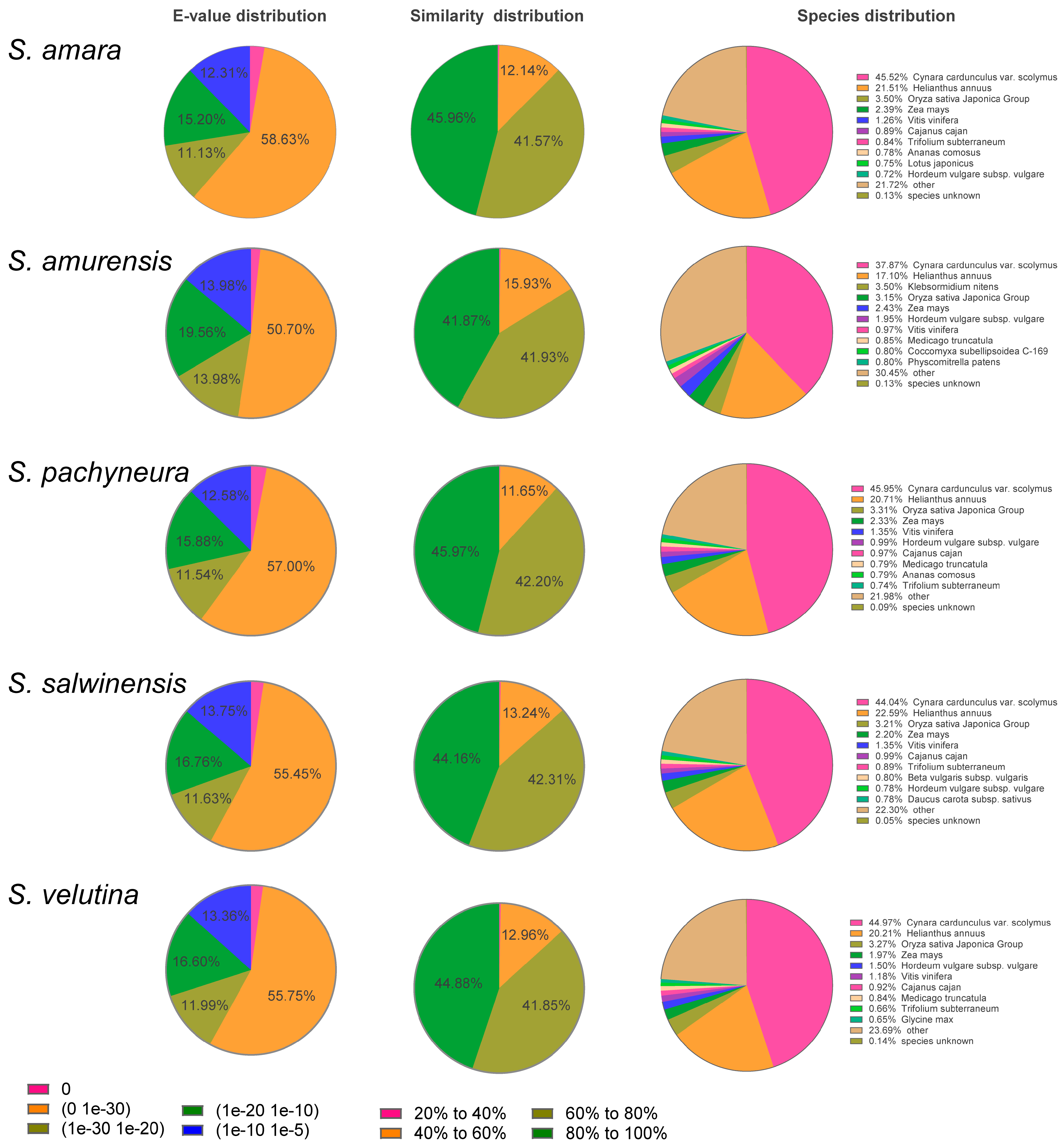 Plants 10 01715 g002