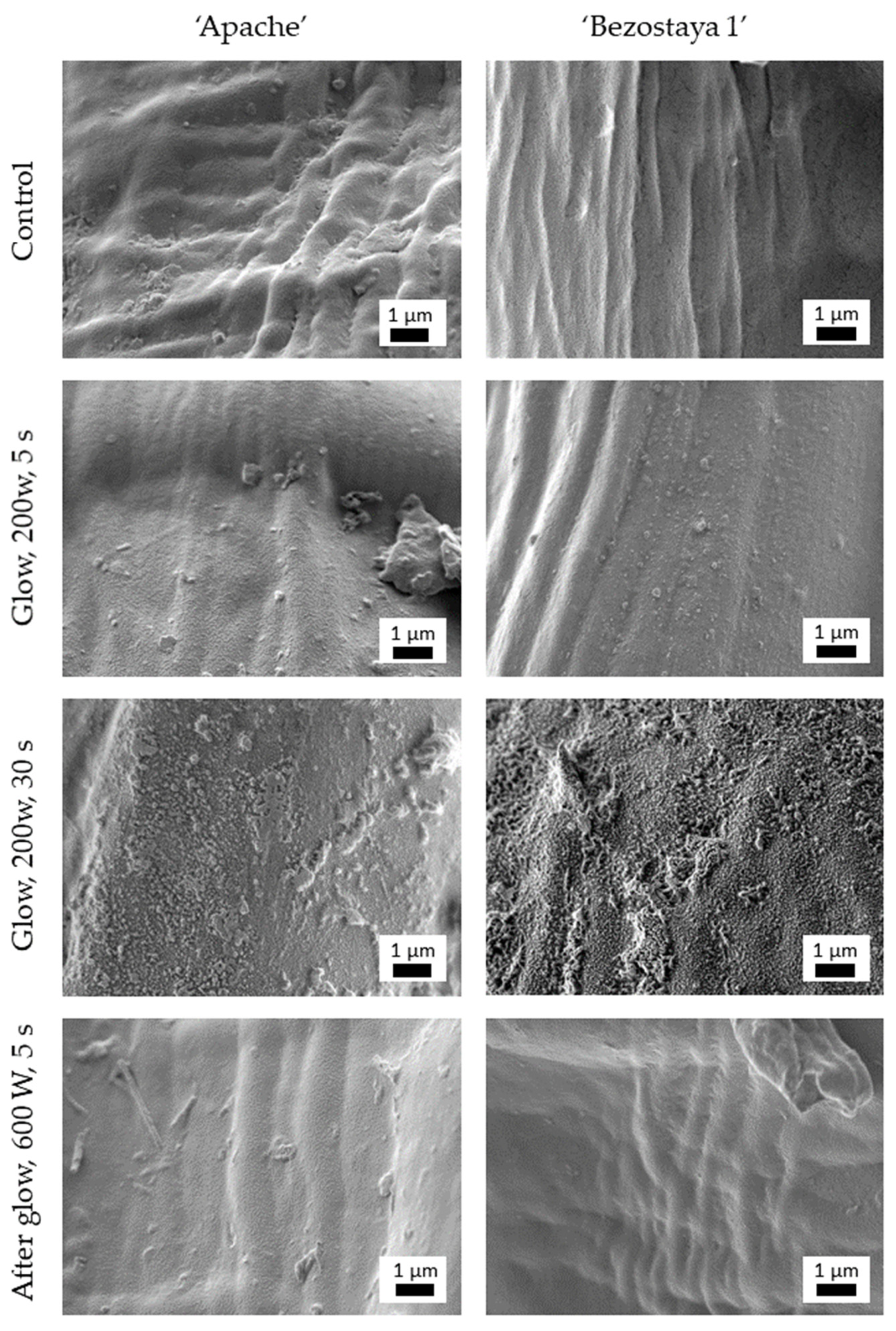 Plants 10 01728 g001