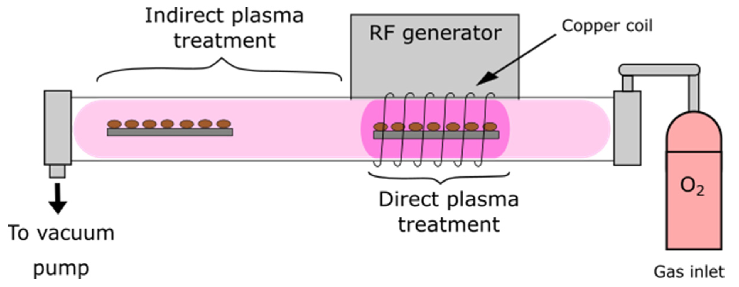 Plants 10 01728 g004