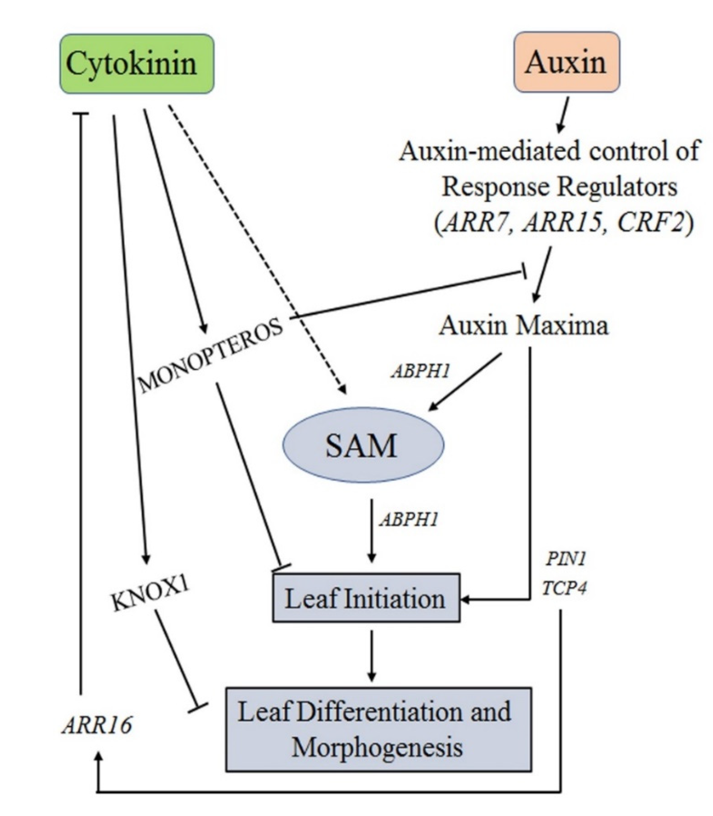 Plants 10 01732 g002