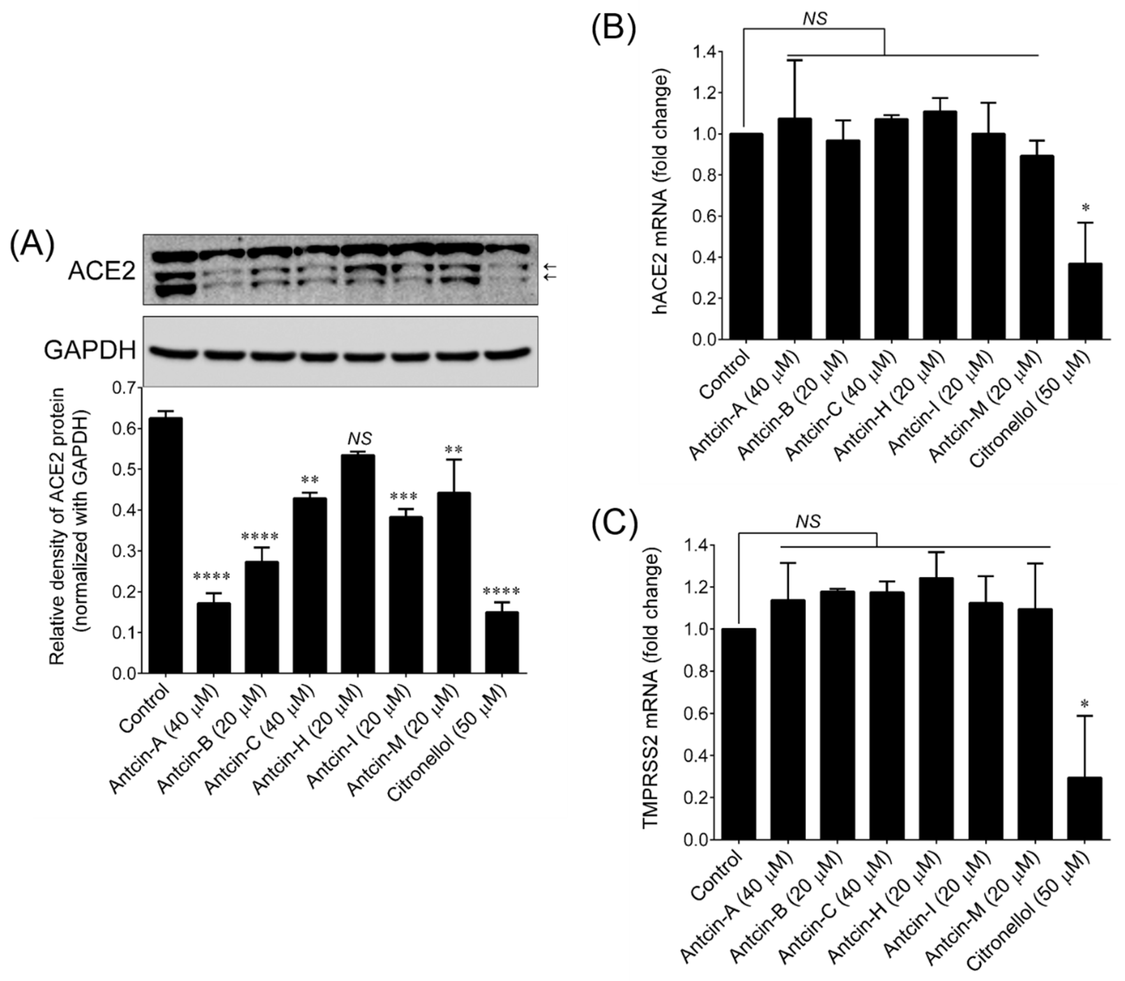 Plants 10 01736 g004