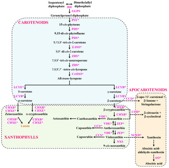 Plants | Free Full-Text | Molecular Characterization, Expression