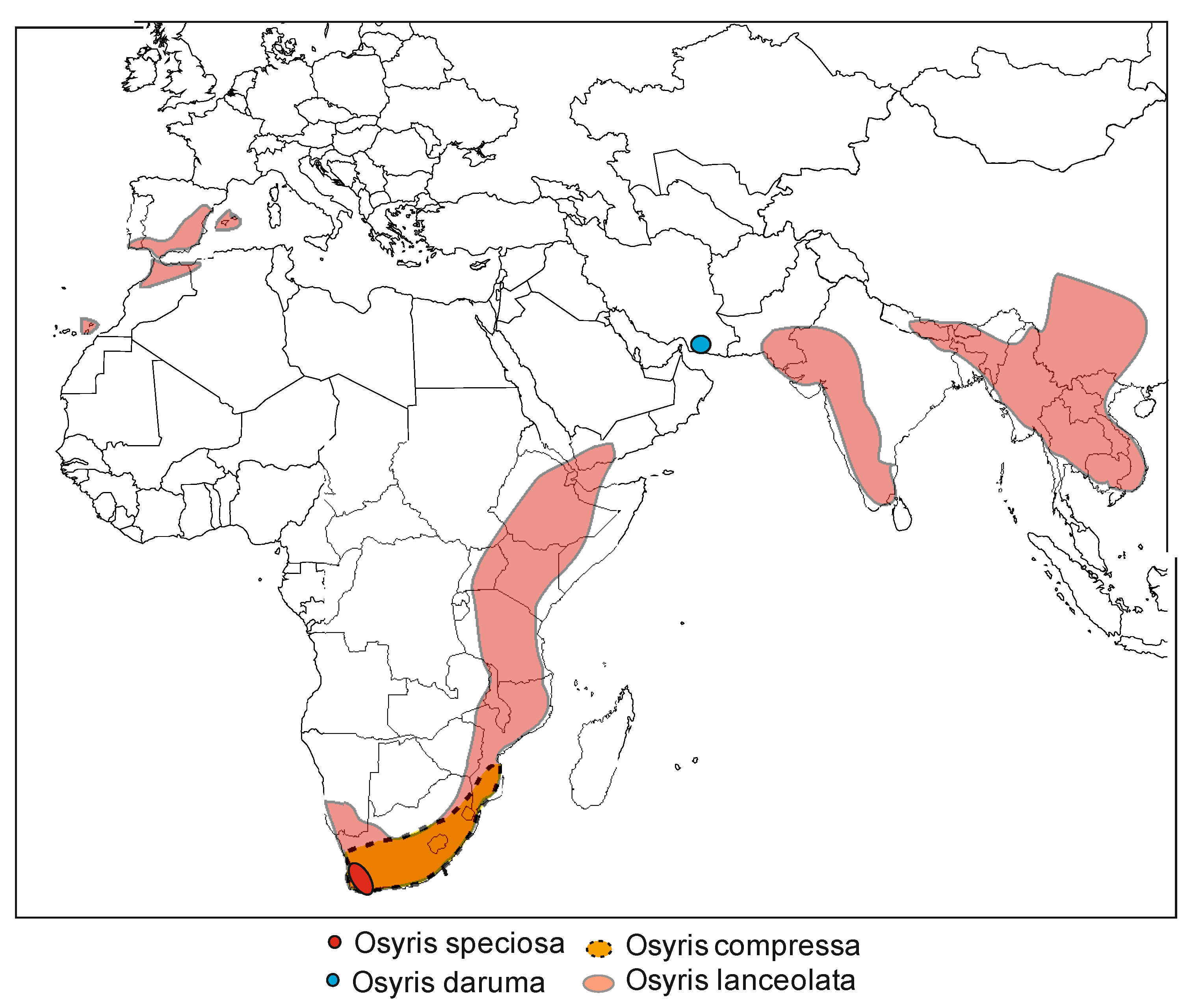Plants | Free Full-Text | Knowledge Gaps in Taxonomy, Ecology, Population  Distribution Drivers and Genetic Diversity of African Sandalwood (Osyris  lanceolata Hochst. &amp; Steud.): A Scoping Review for Conservation