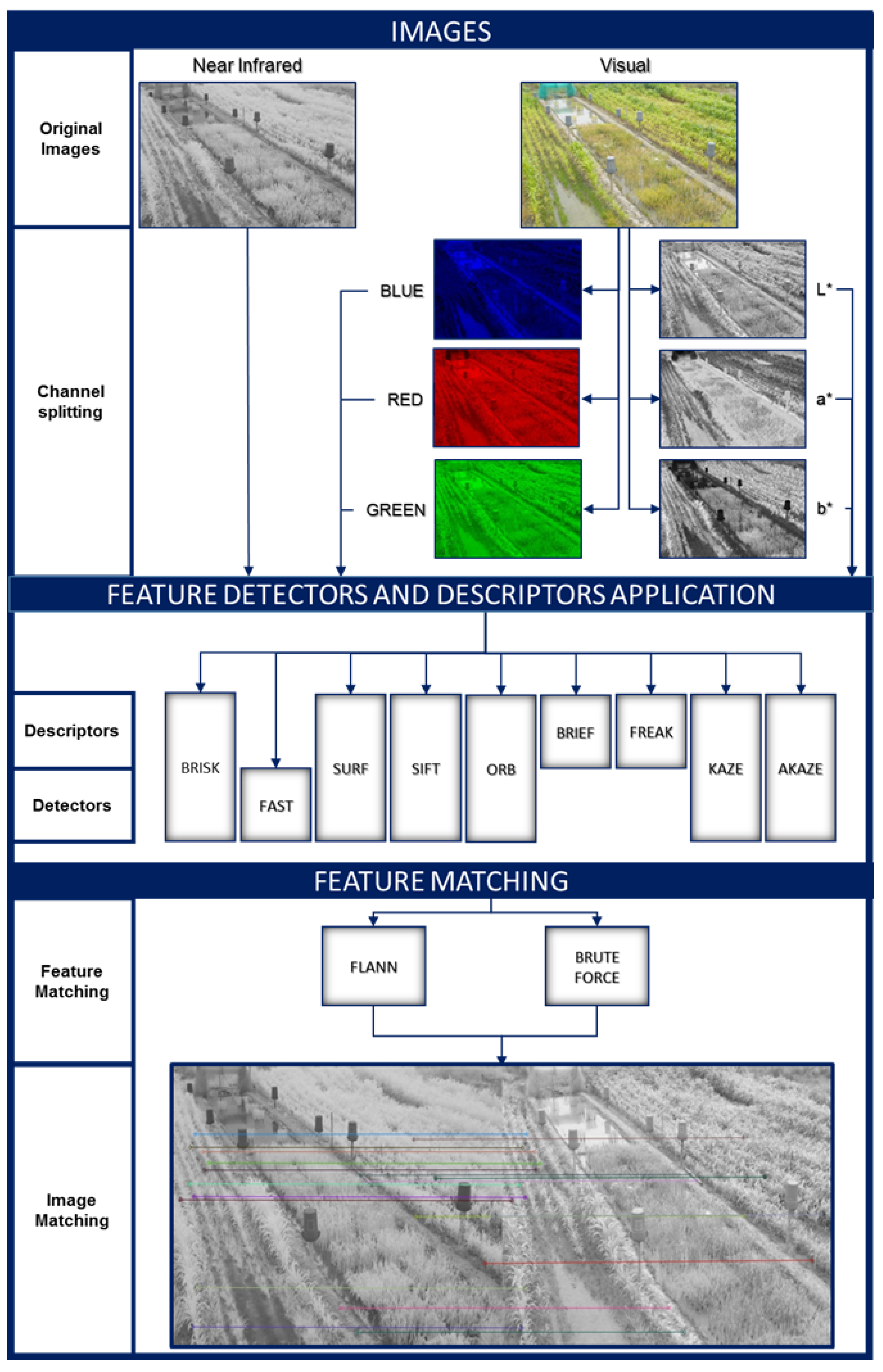 Plants 10 01791 g003