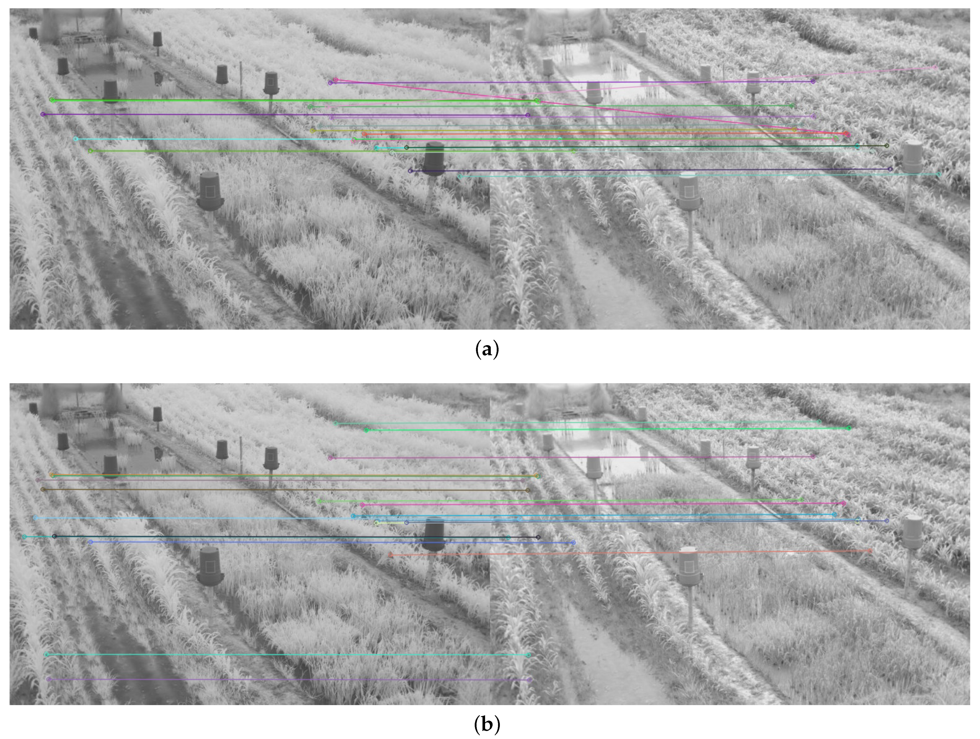 Plants 10 01791 g008