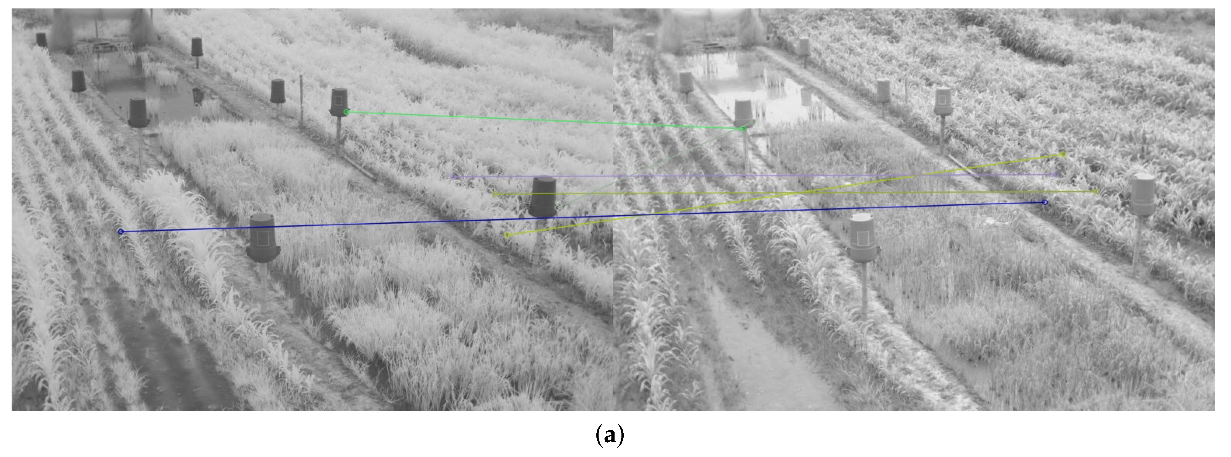 Plants 10 01791 g012a