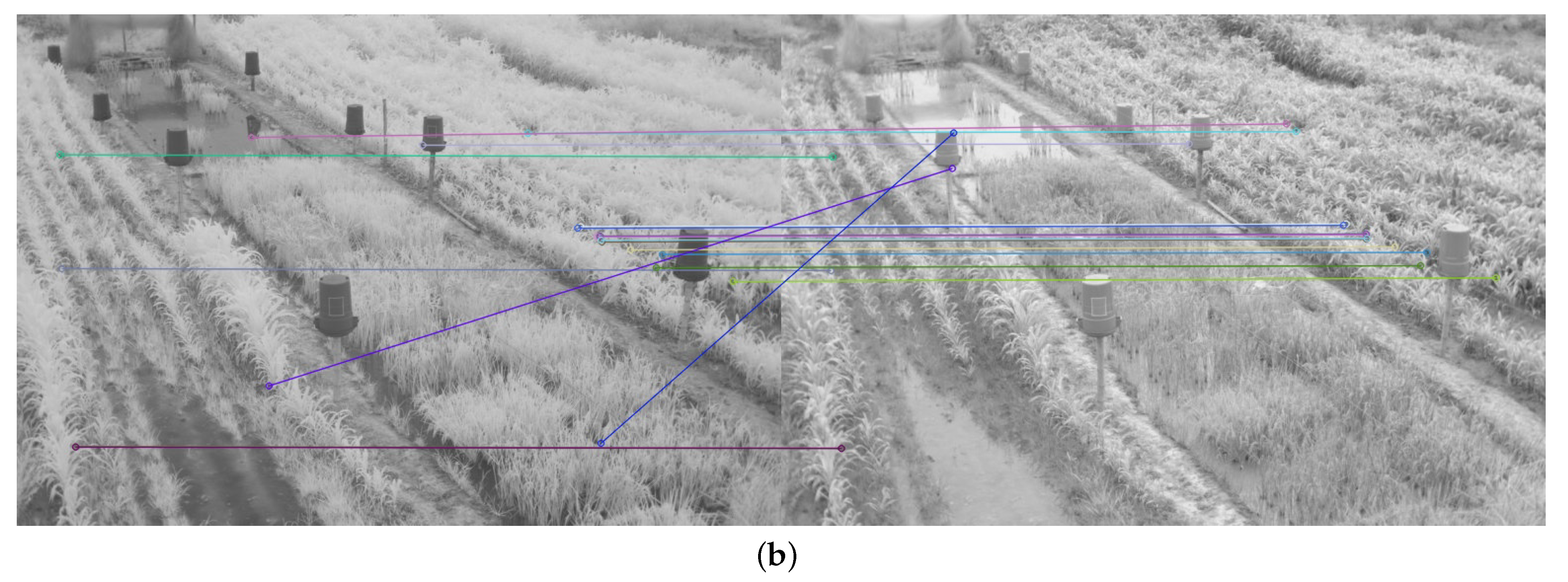 Plants 10 01791 g012b