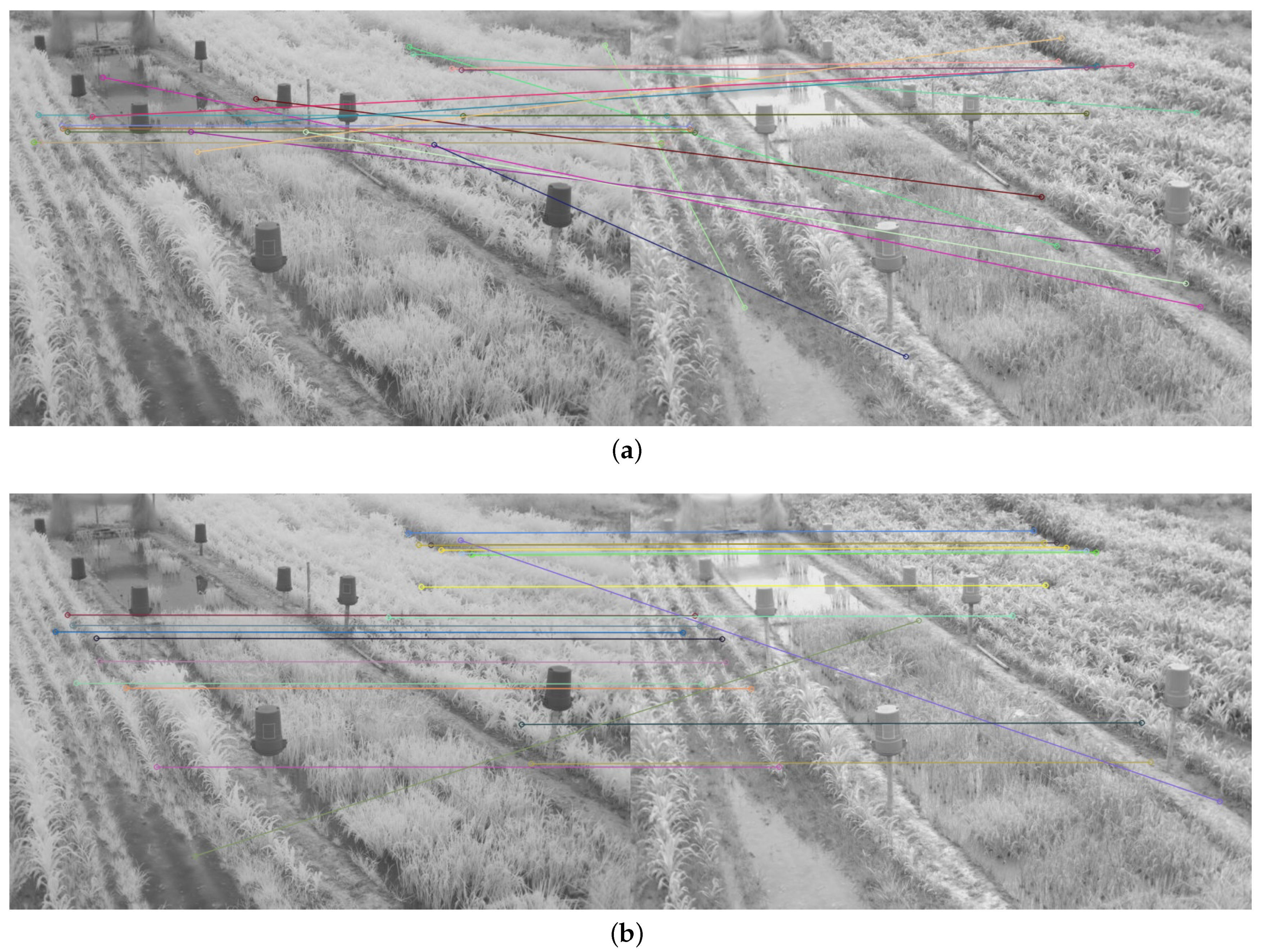 Plants 10 01791 g014