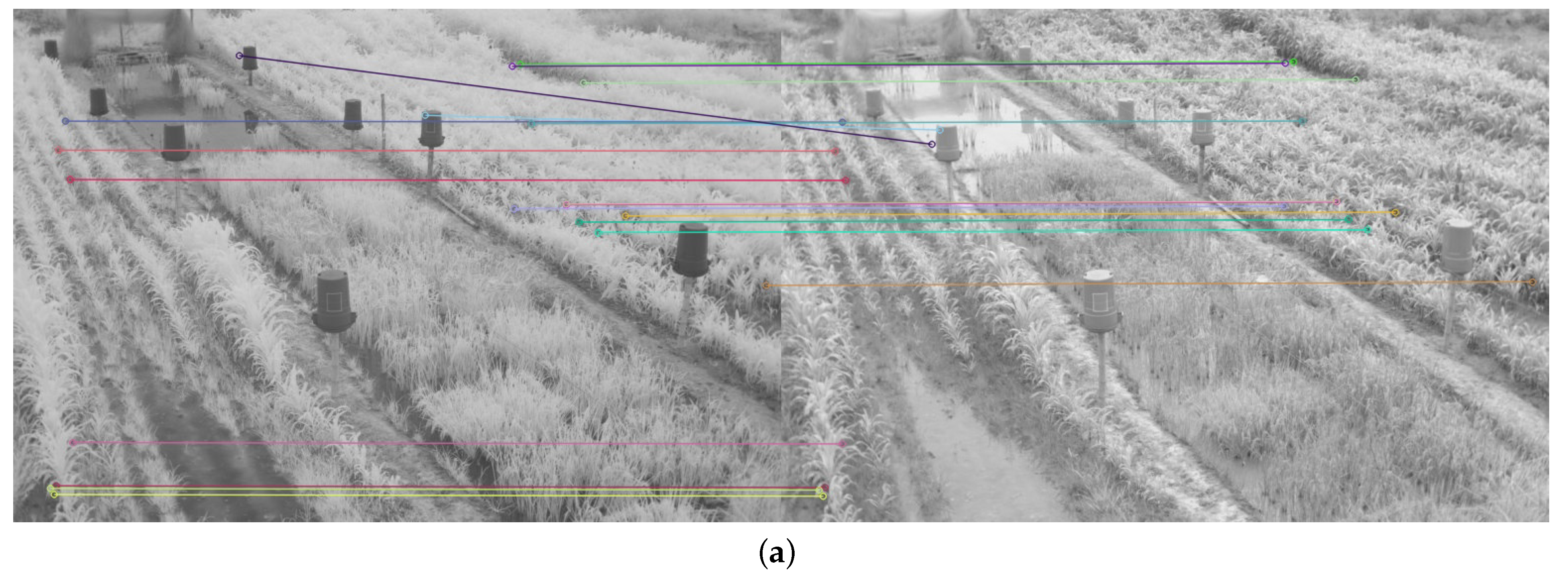 Plants 10 01791 g015a