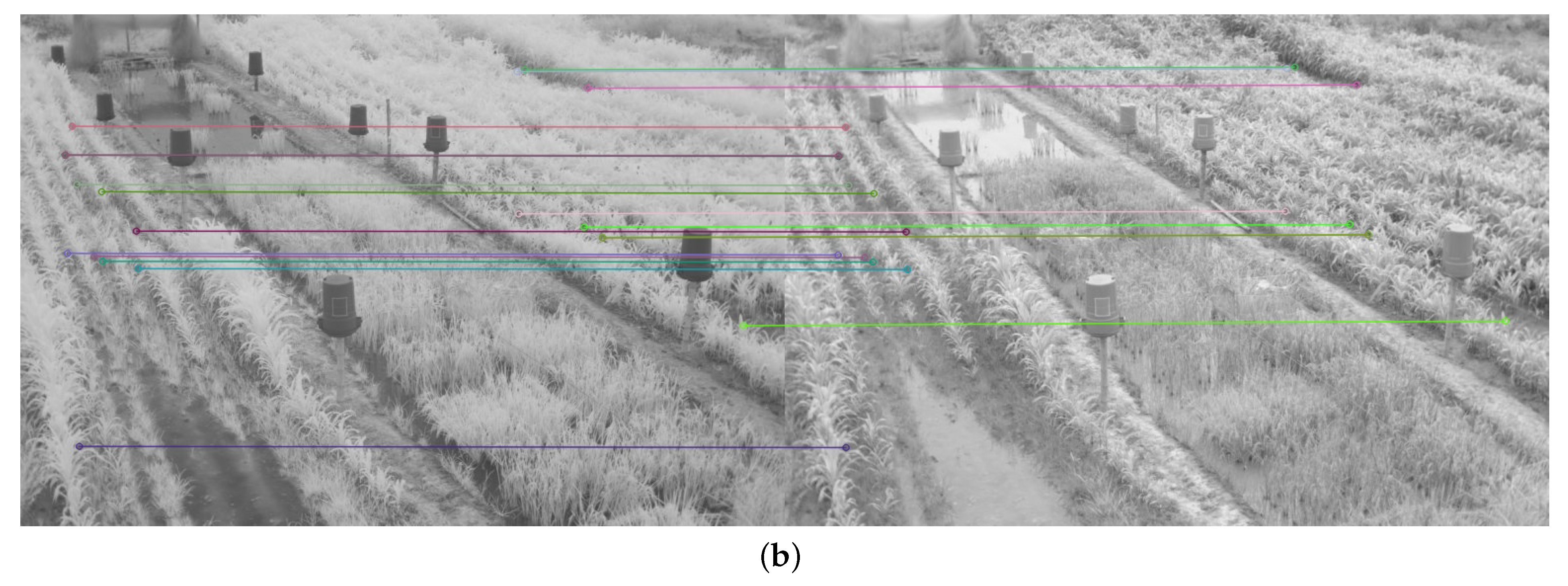 Plants 10 01791 g015b