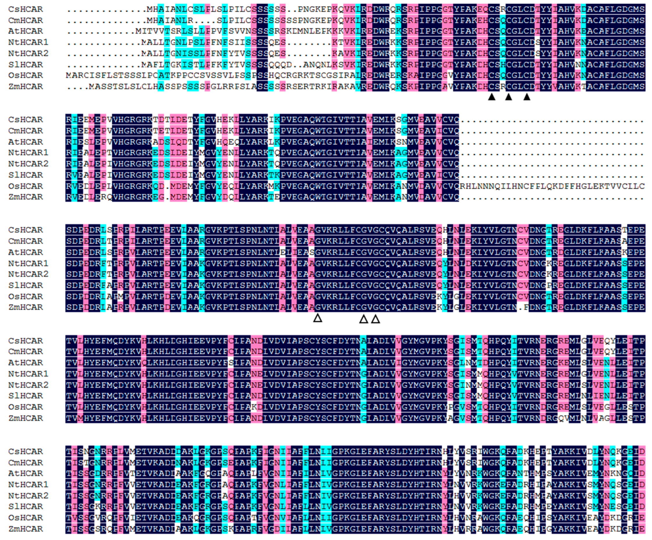 Plants 10 01820 g001