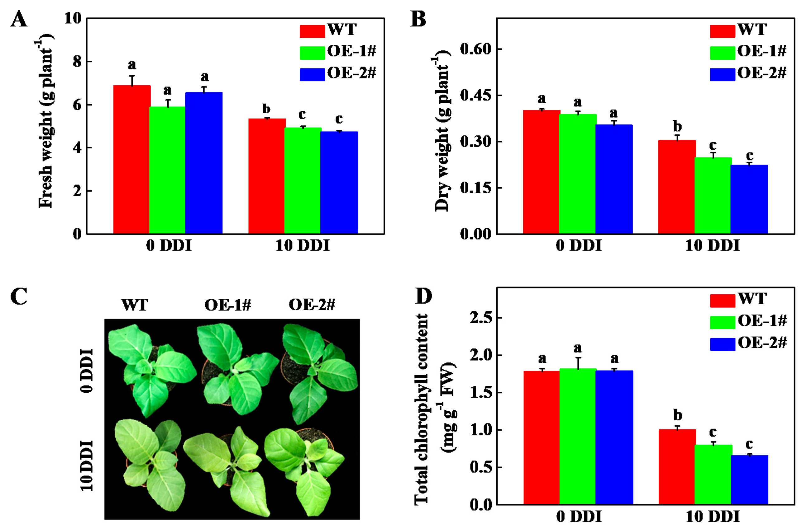 Plants 10 01820 g004