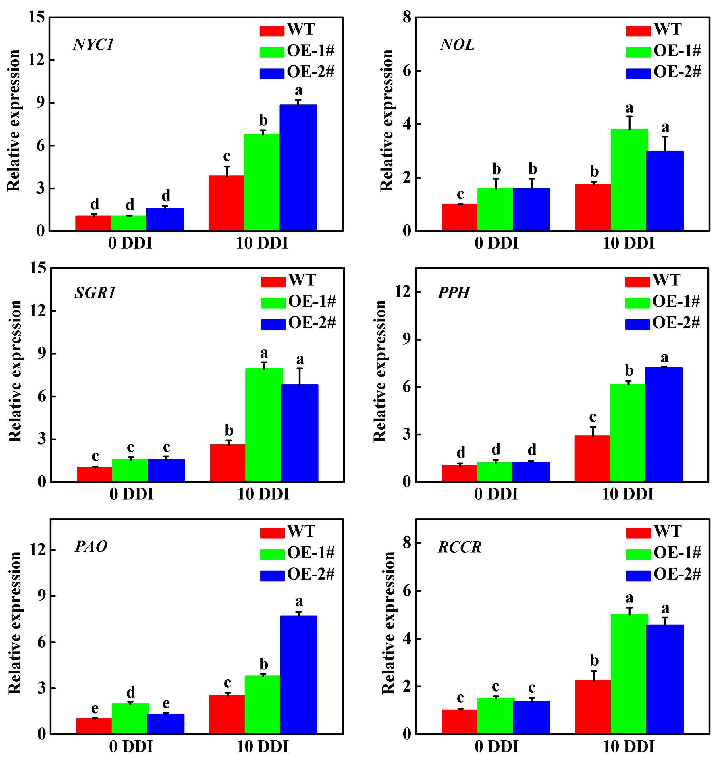Plants 10 01820 g005