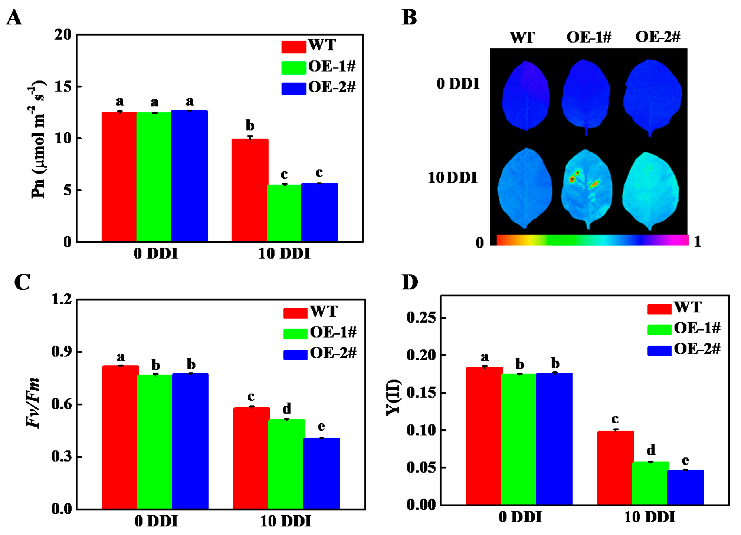 Plants 10 01820 g006