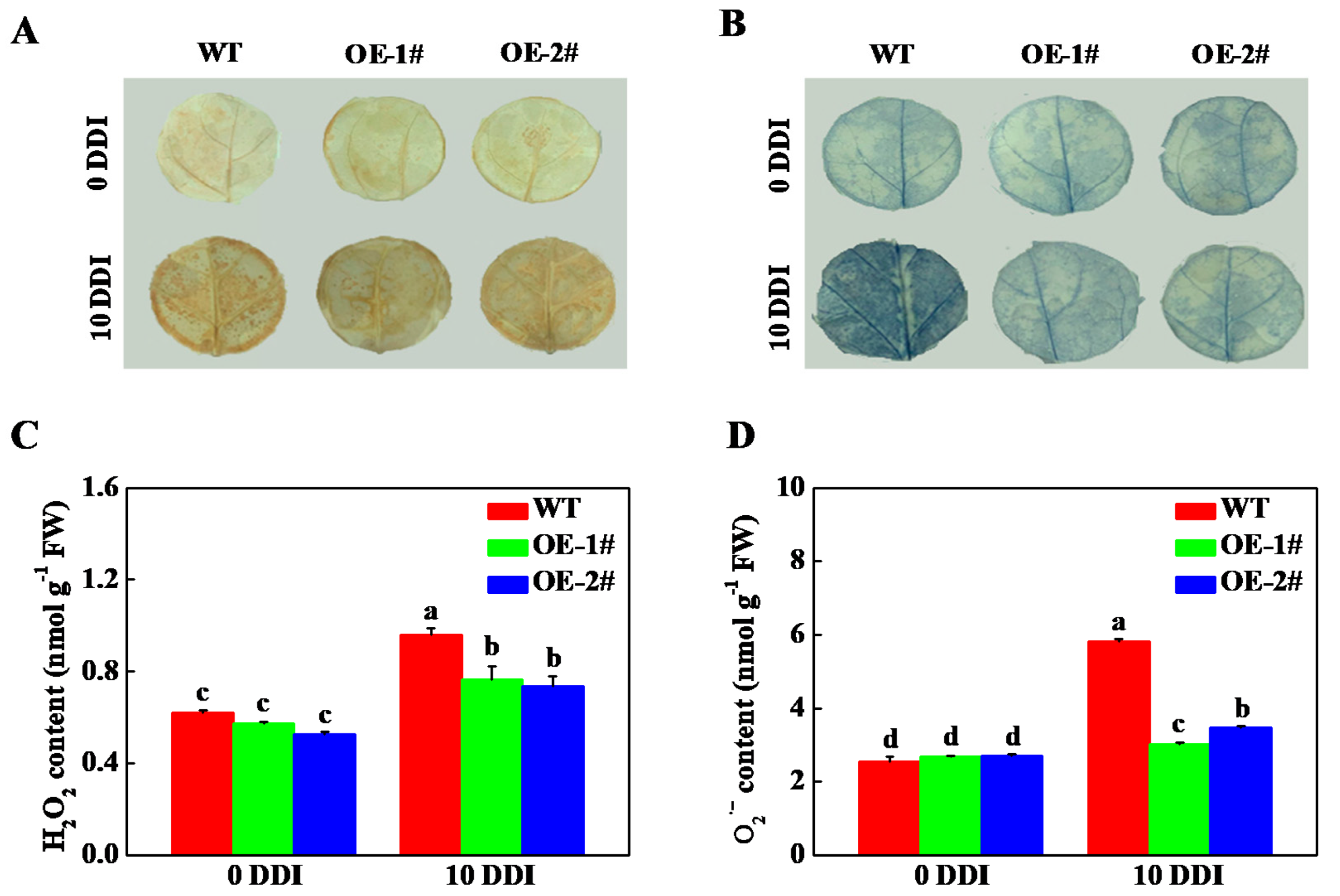 Plants 10 01820 g008